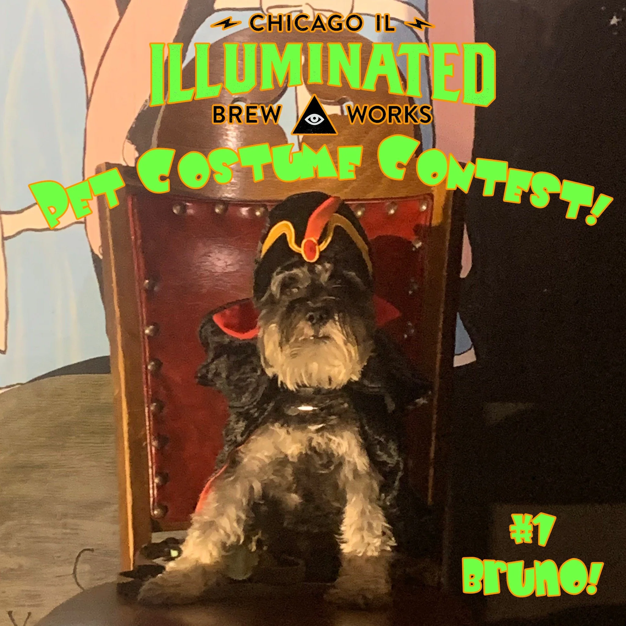 HAPPY HALLOWEEN!!

It's the time you've all been waiting for, time to vote for your favorite dog or cat costume.

In the comments please write down the NUMBER and the NAME of the dog.

The voting ends at NOON tomorrow November 1st and I'll announce t