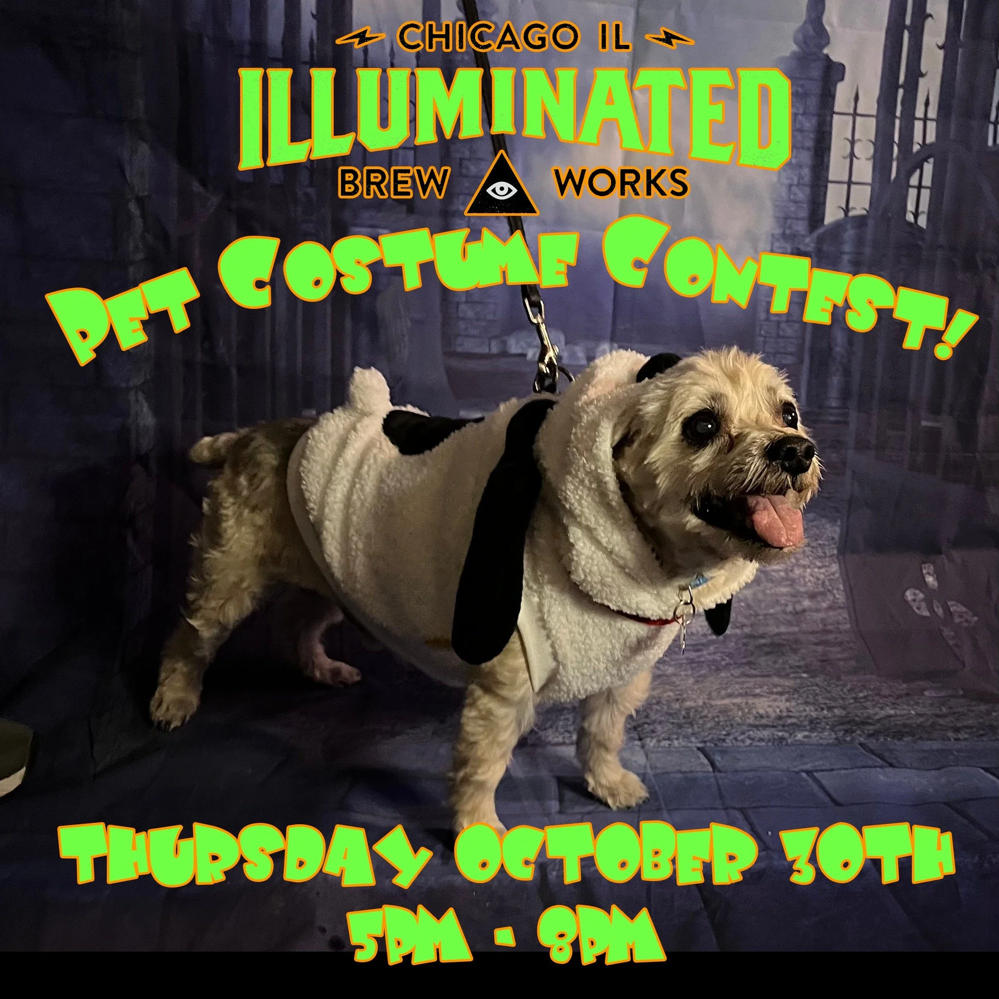 It's Thursday October 30th which means that TONIGHT IS THE NIGHT!!!

Get your Dog/Cat done up in their Halloween costume and bring them by IBW Lodge #1 to get your photo taken.

Your pet gets the adulation they deserve and you get a pint of beer on u