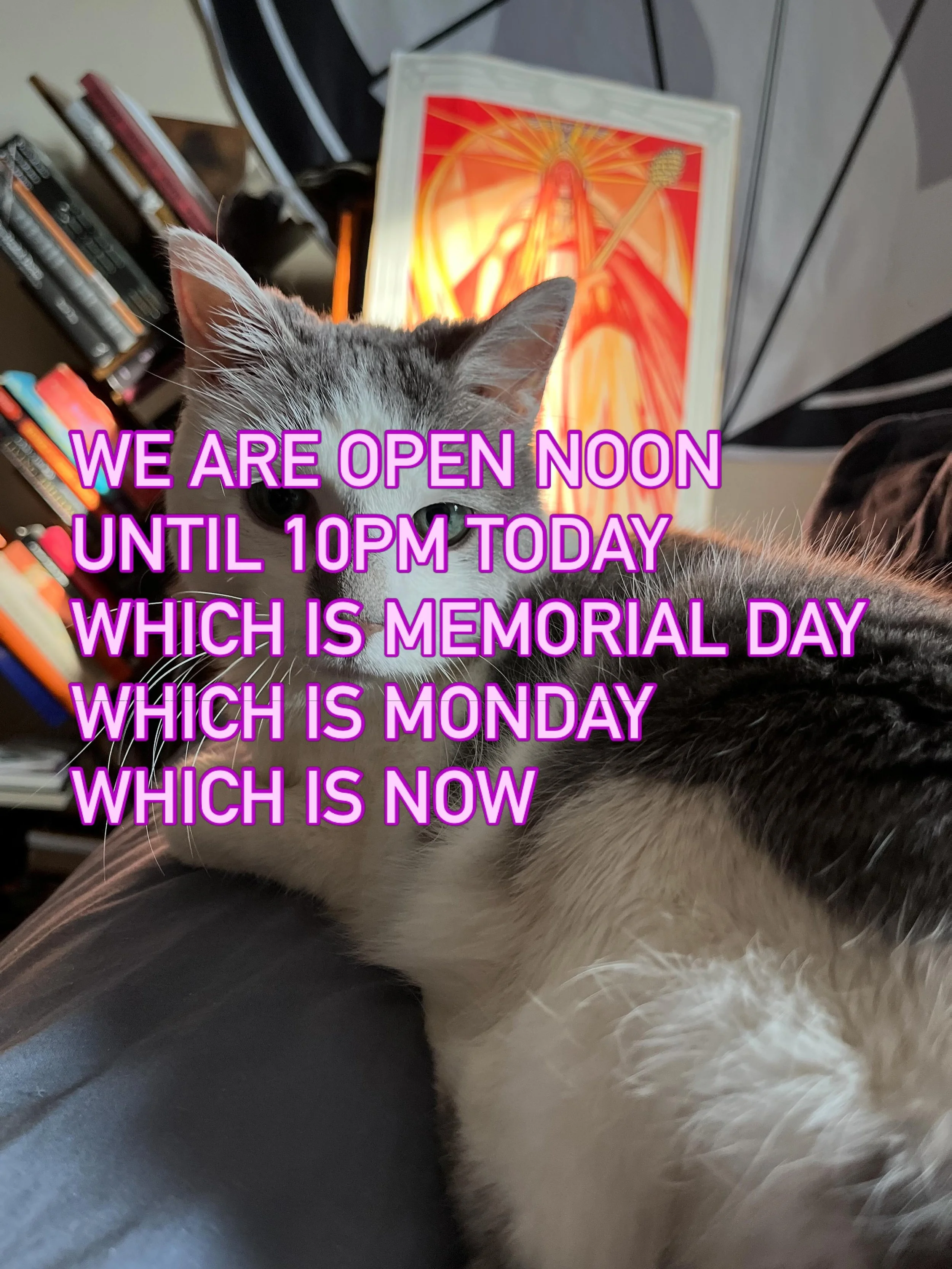 We are open noon until 10p. Come drink and deal with the consequences.