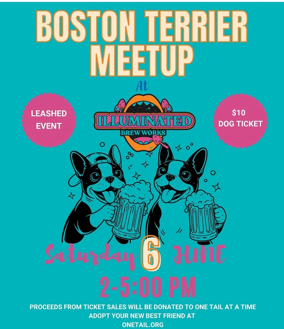 Boston Terrier Meet Up