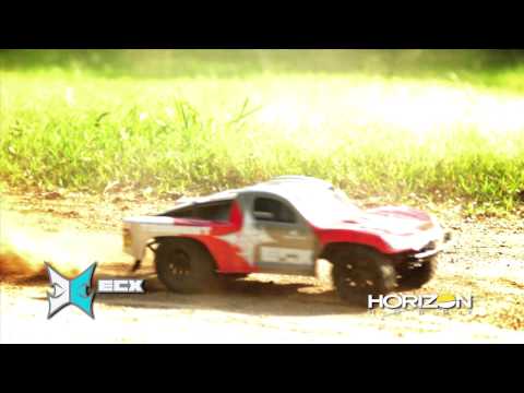 Torment RC Truck