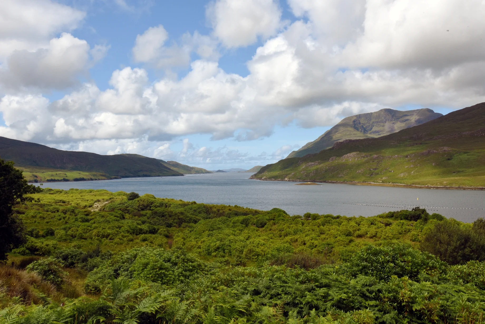 DSC_2891 2editresize.jpg