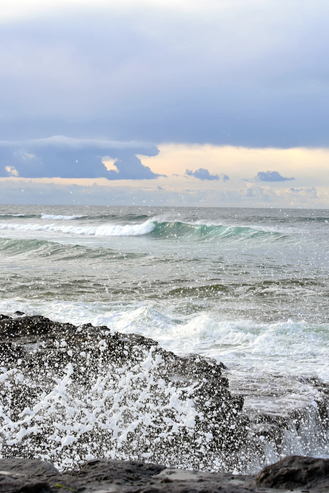 DSC_2628 2editresize.jpg