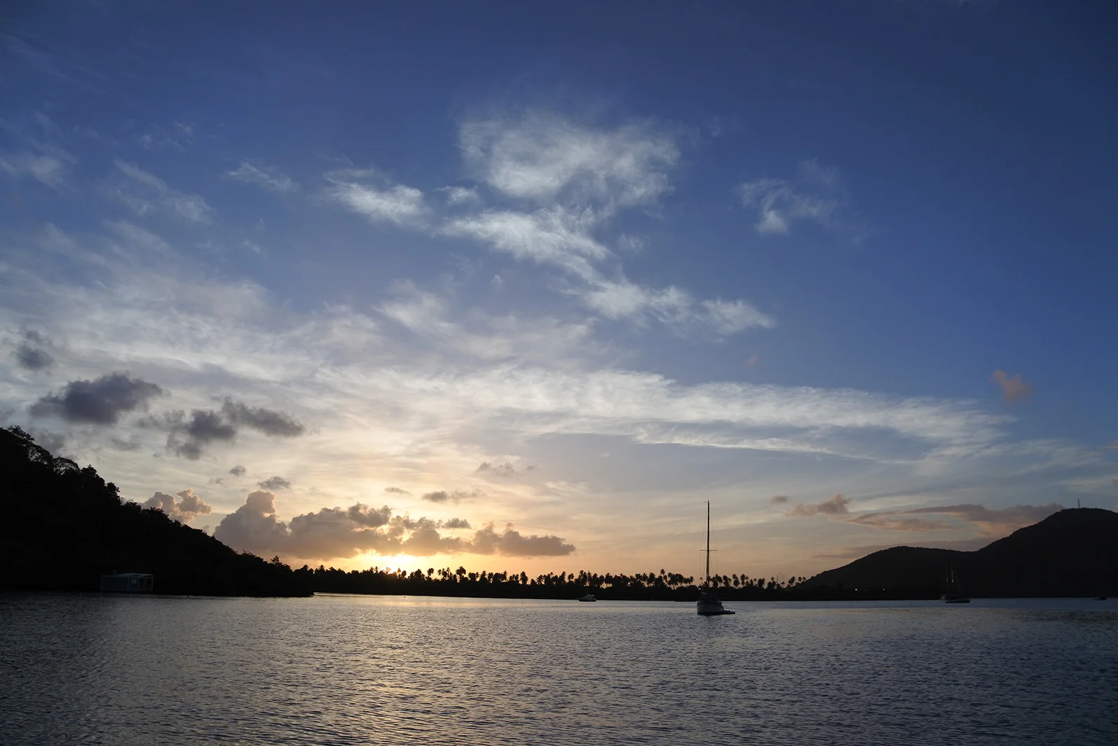DSC_2898resize.jpg