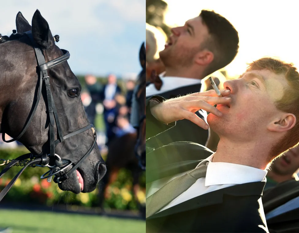 horseduo.jpg