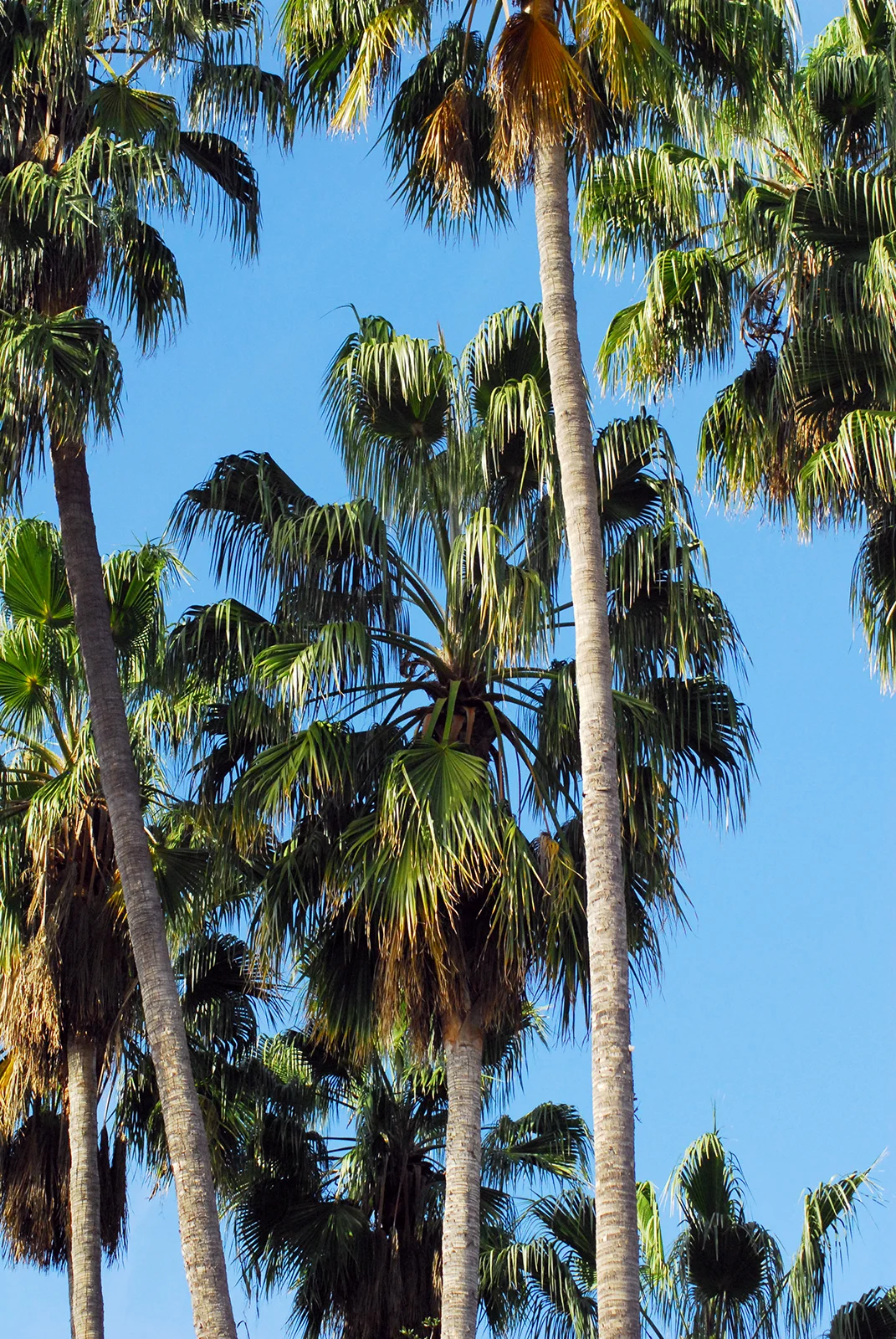 8.2-BeverlyHills,WhereElseresize.jpg