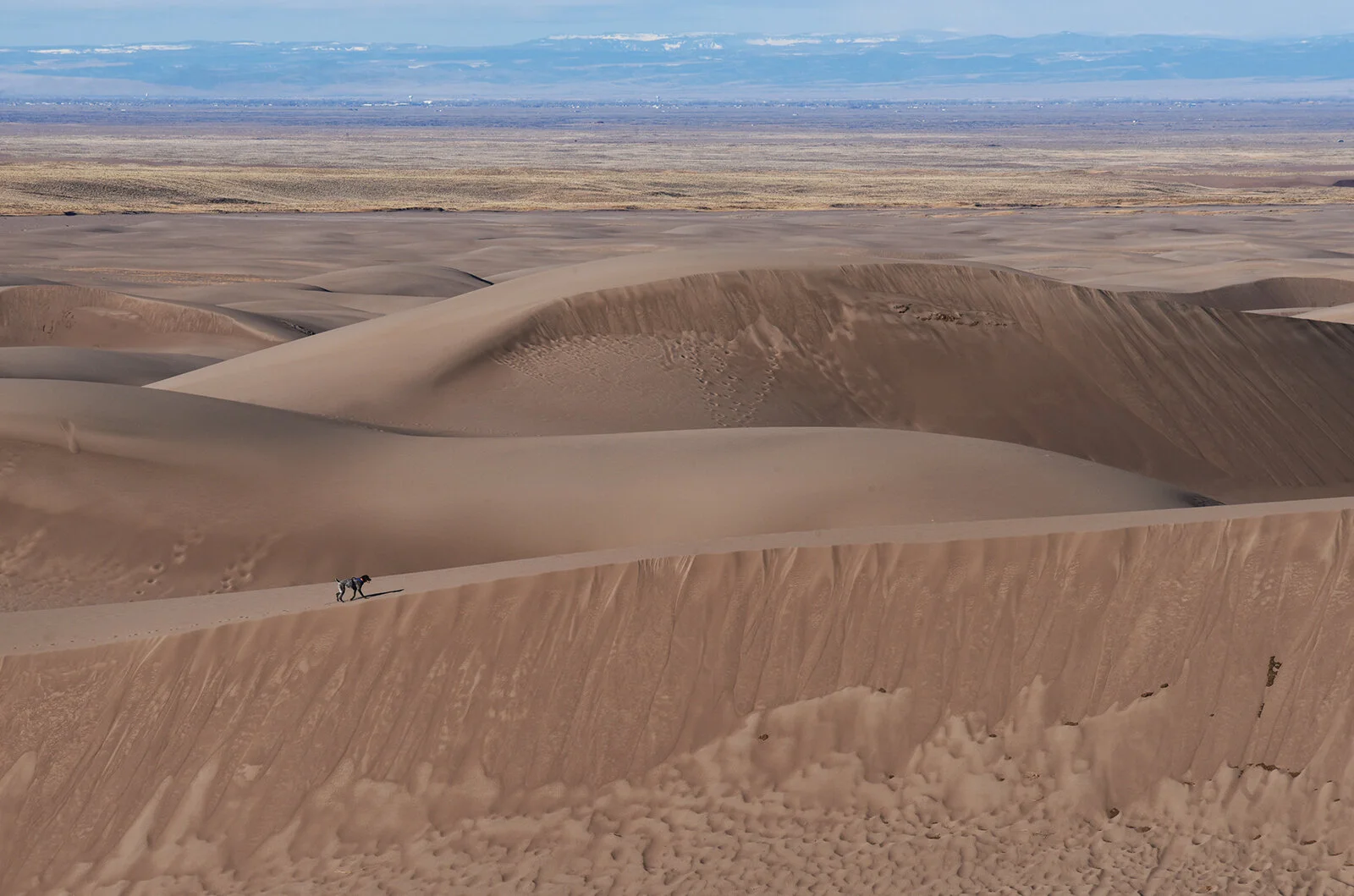 GreatDunes8resize.jpg