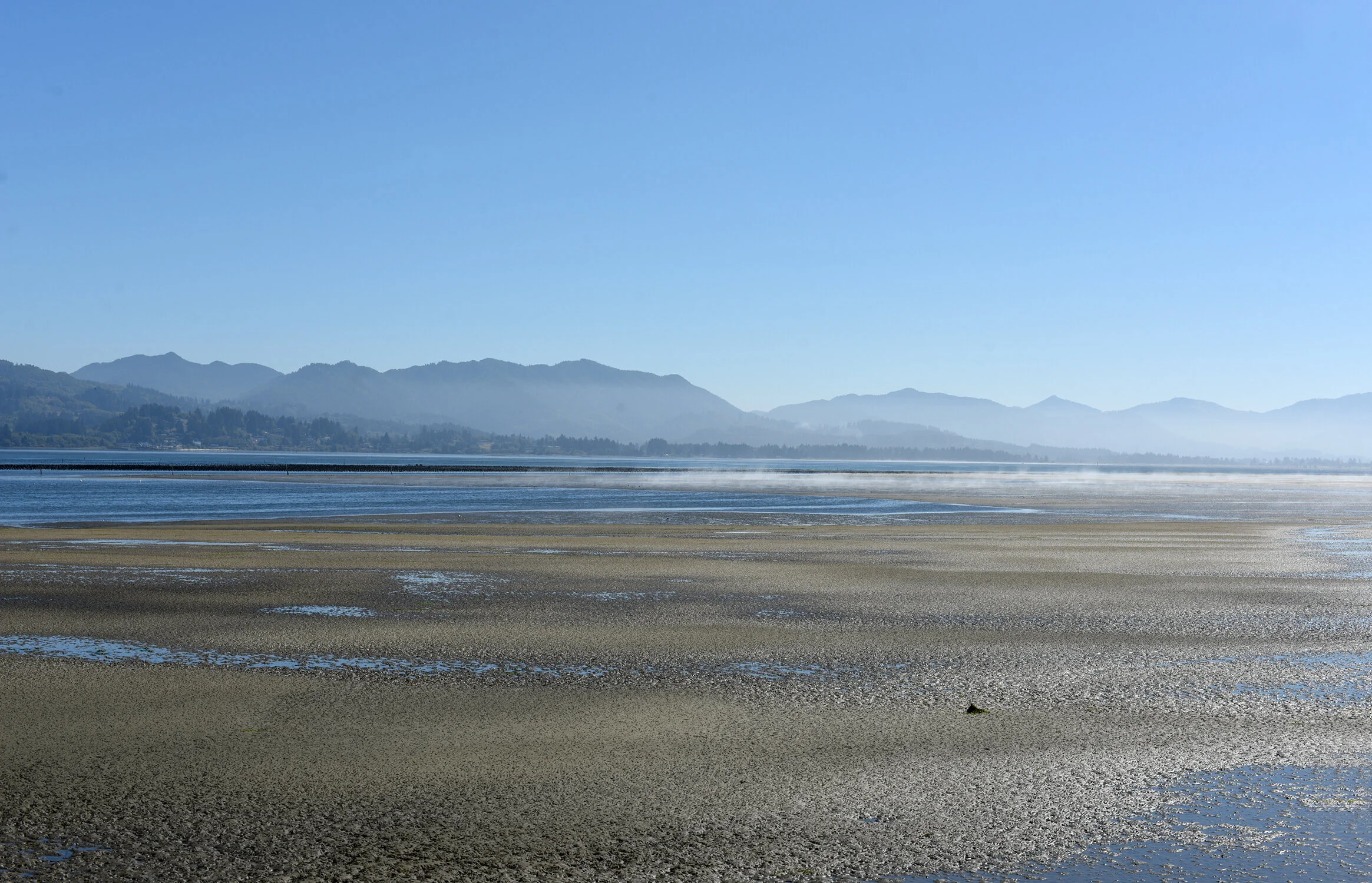 DSC_3956editresize.jpg