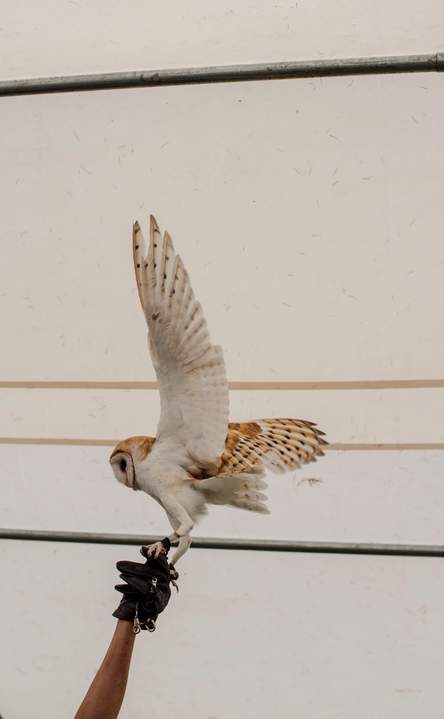 DSC_3631.jpeg
