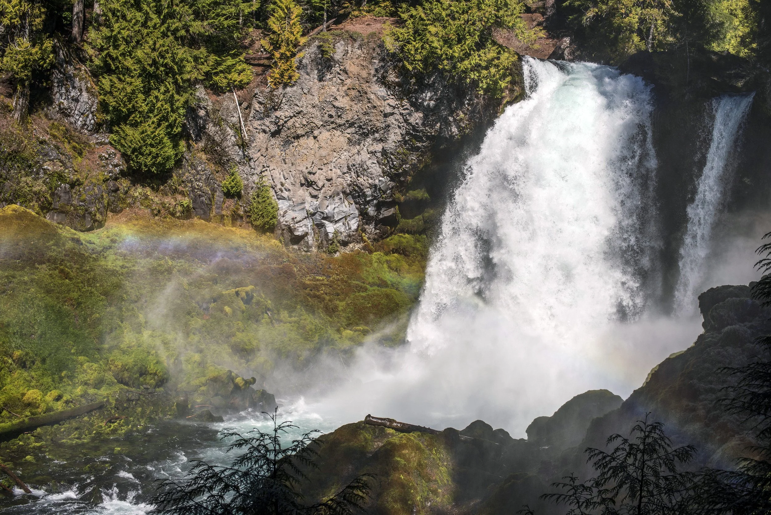 DSC_3560_1resize.jpg