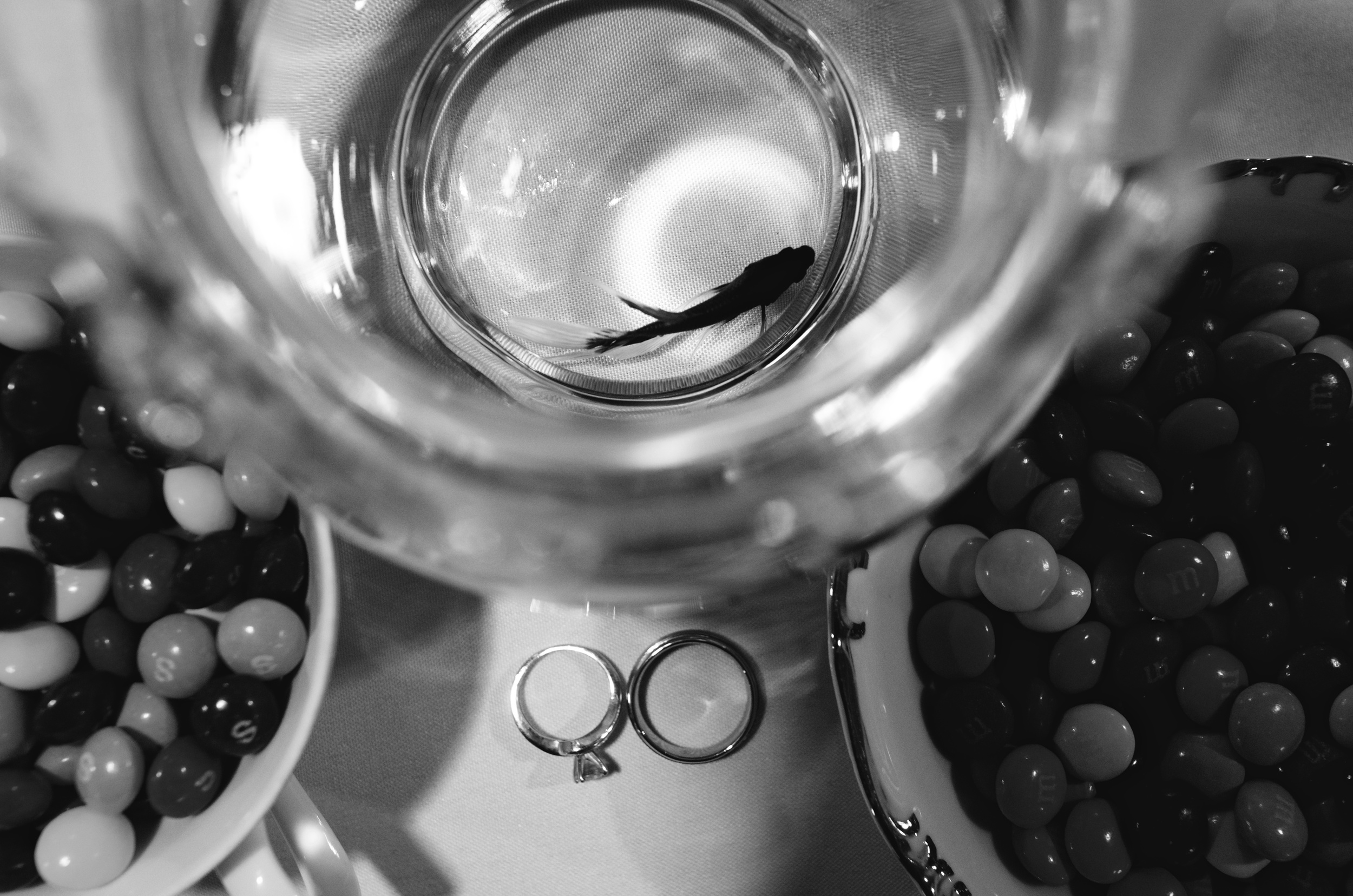 Steve and Rachel's wedding blog 3.jpg
