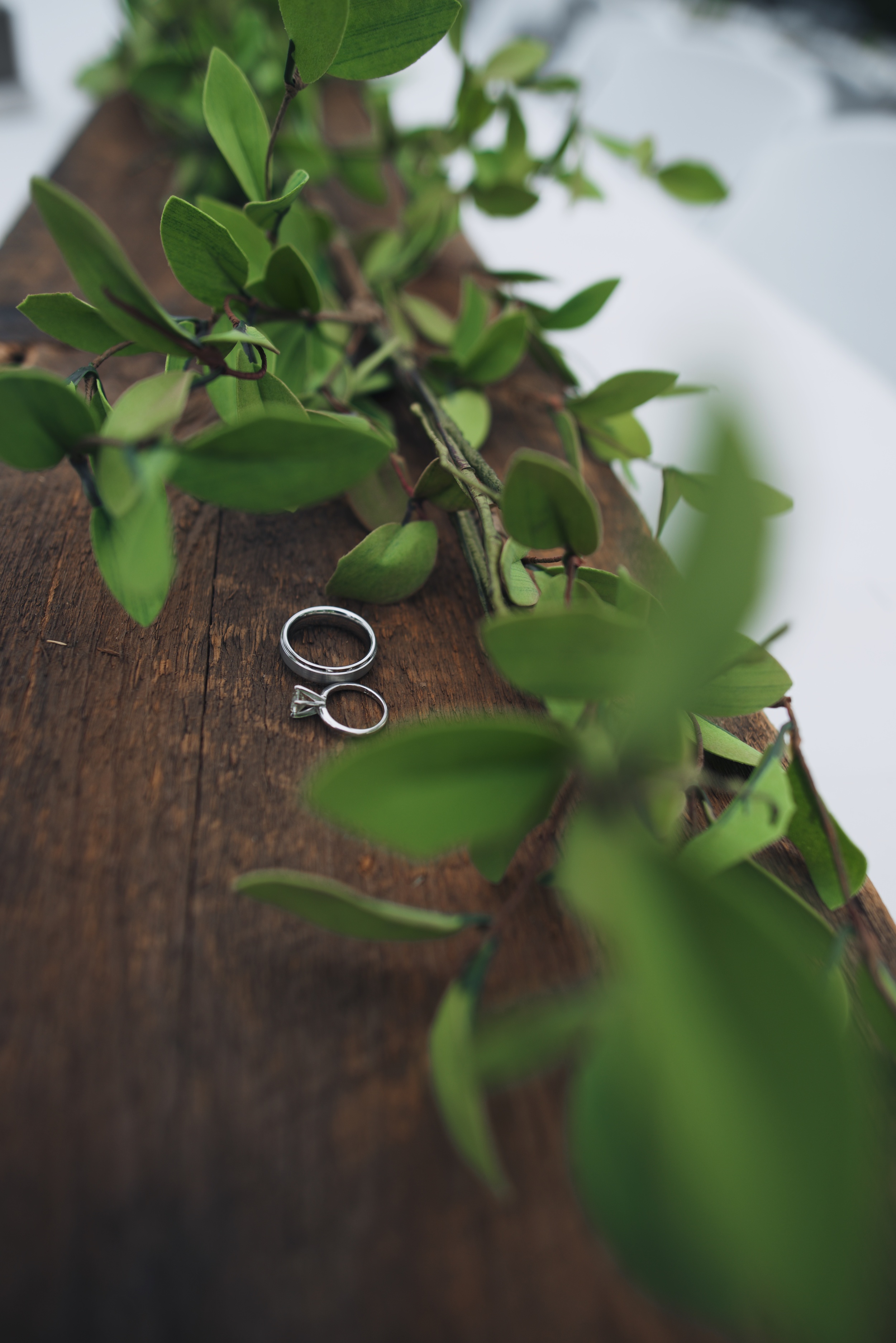 Alex and Melissa's wedding blog 9.jpg