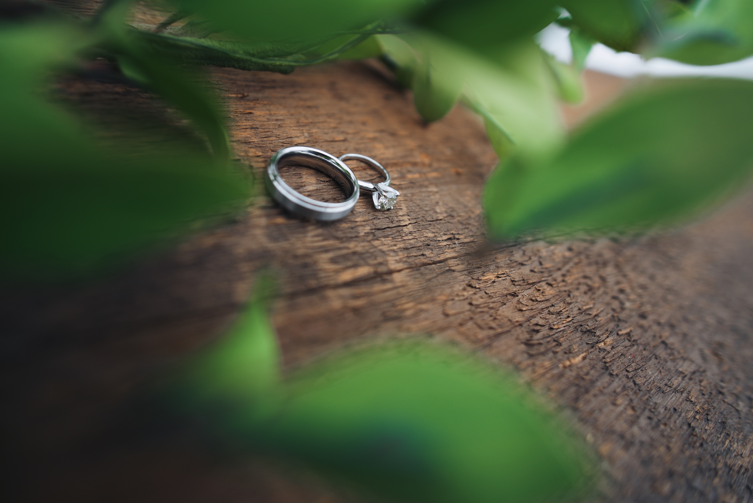 Alex and Melissa's wedding blog 10.jpg