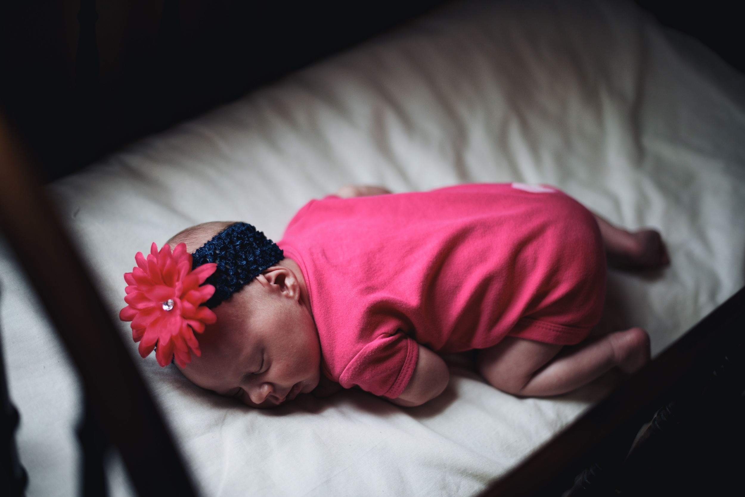 The Koffkey's 18.jpg