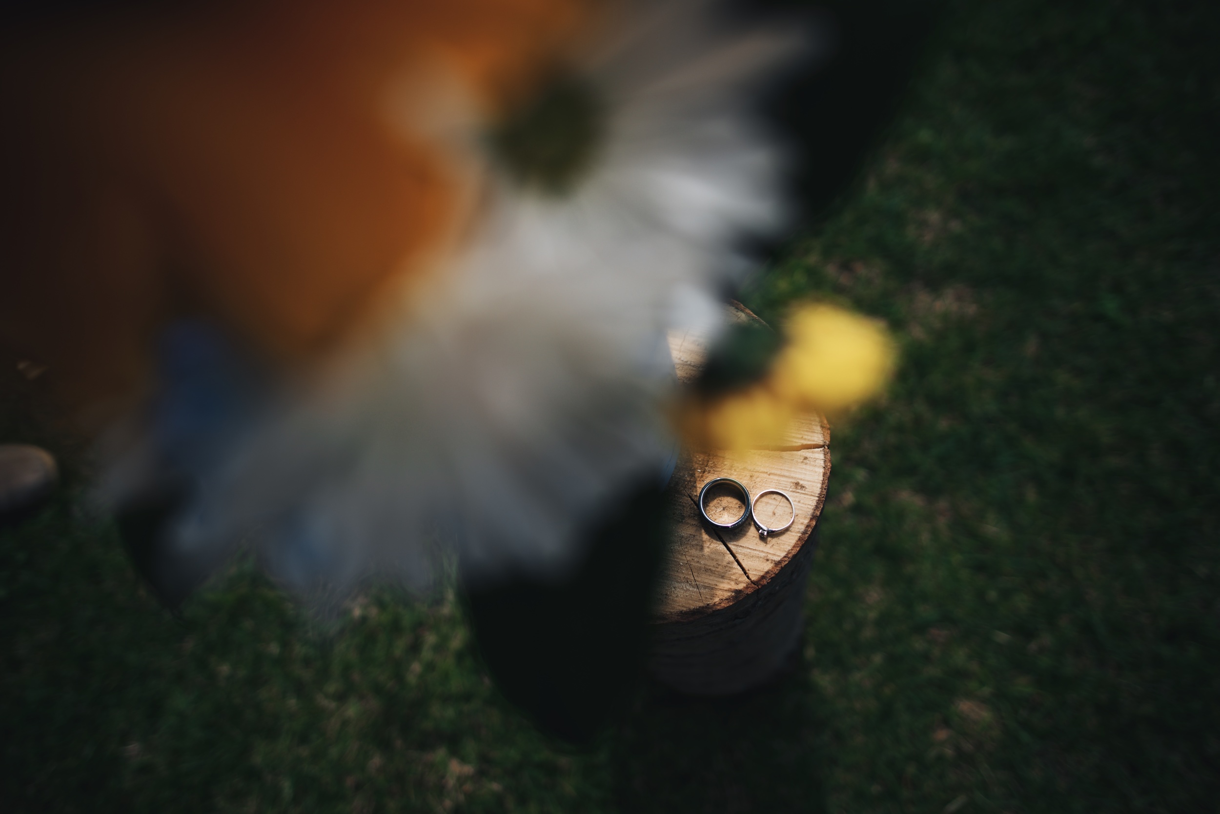 Nick and Libby's Wedding 1.jpg