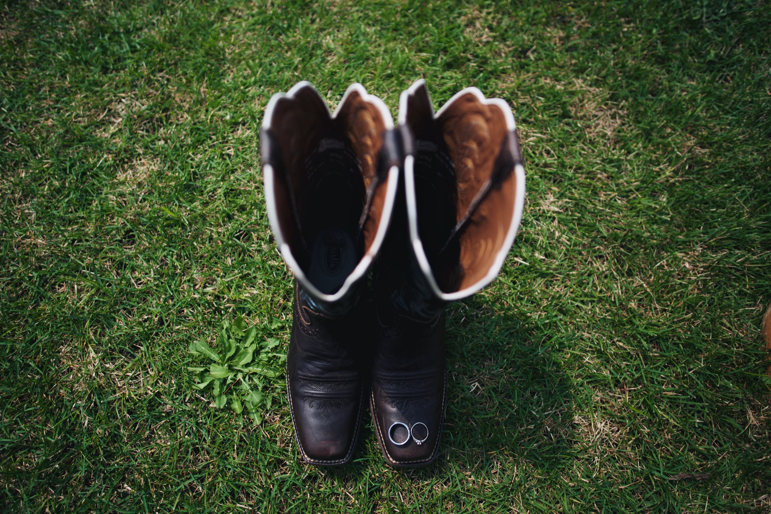 Nick and Libby's Wedding 5.jpg