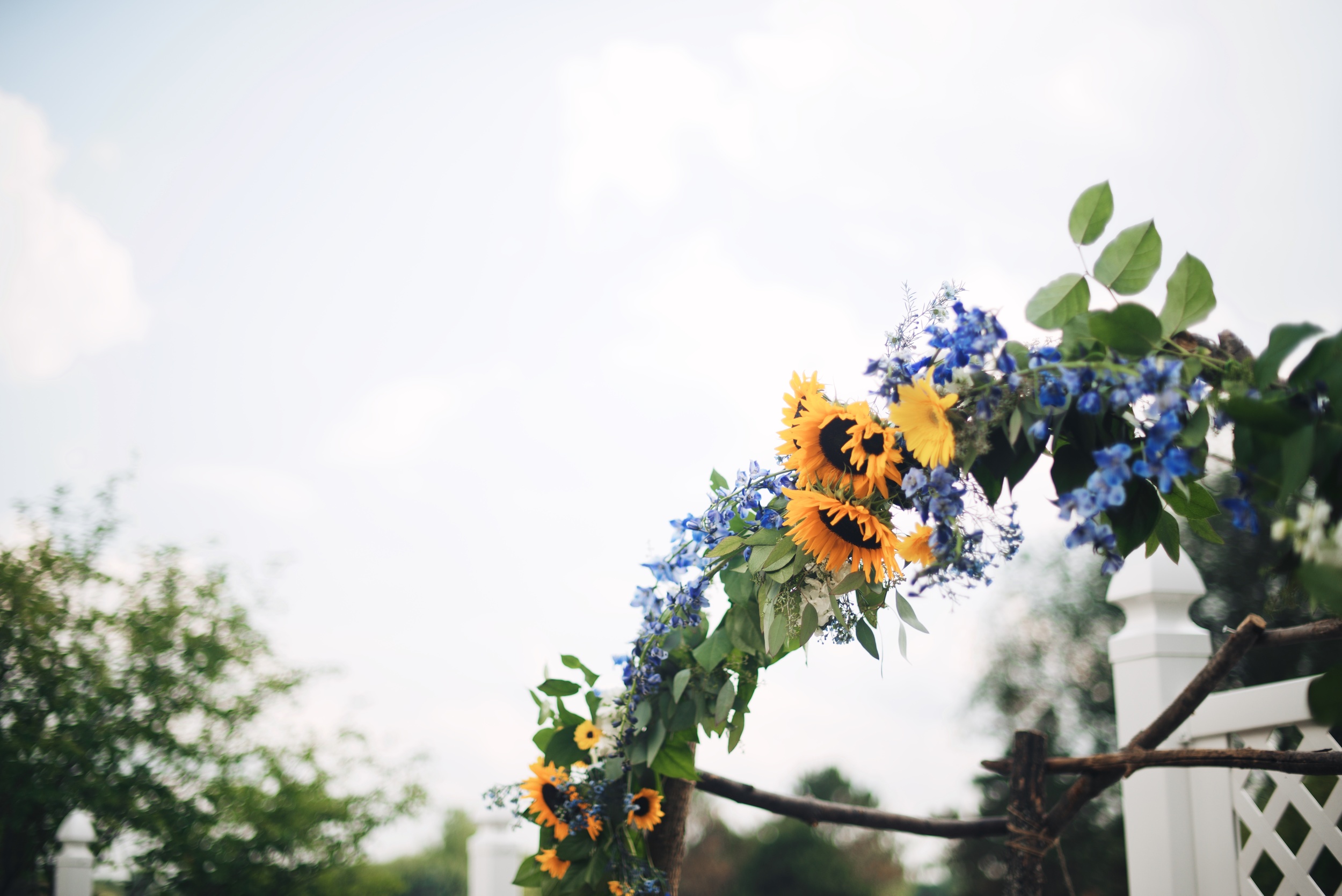 Nick and Libby's Wedding 219.jpg