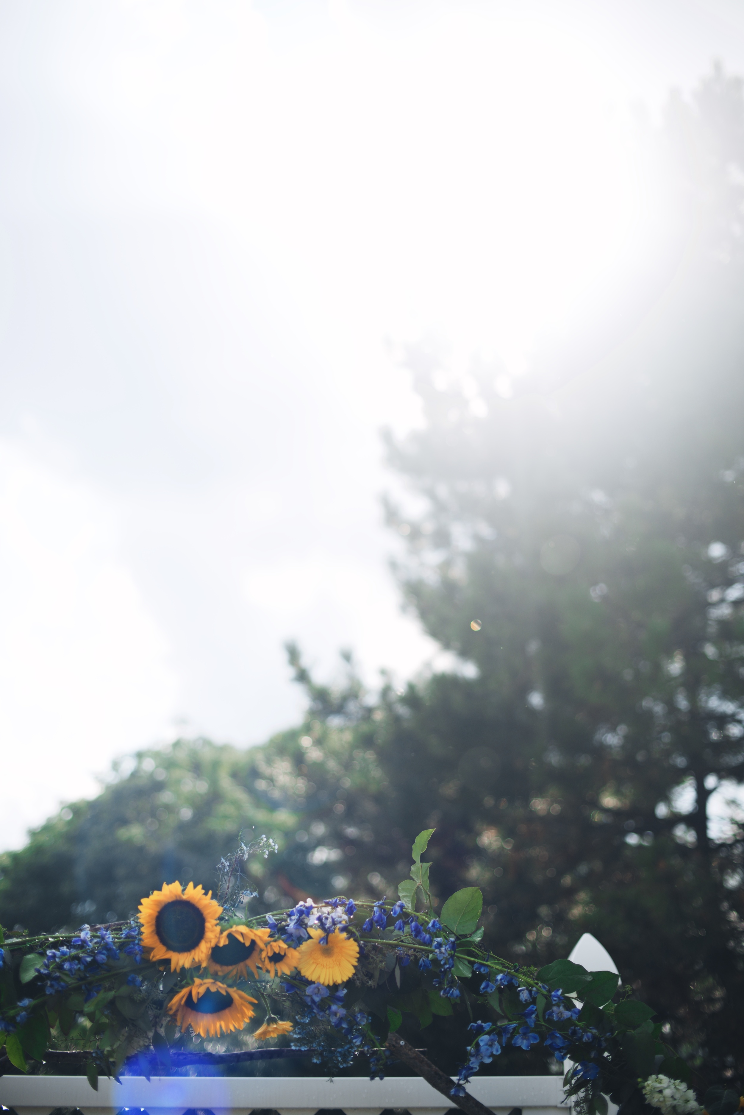Nick and Libby's Wedding 244.jpg
