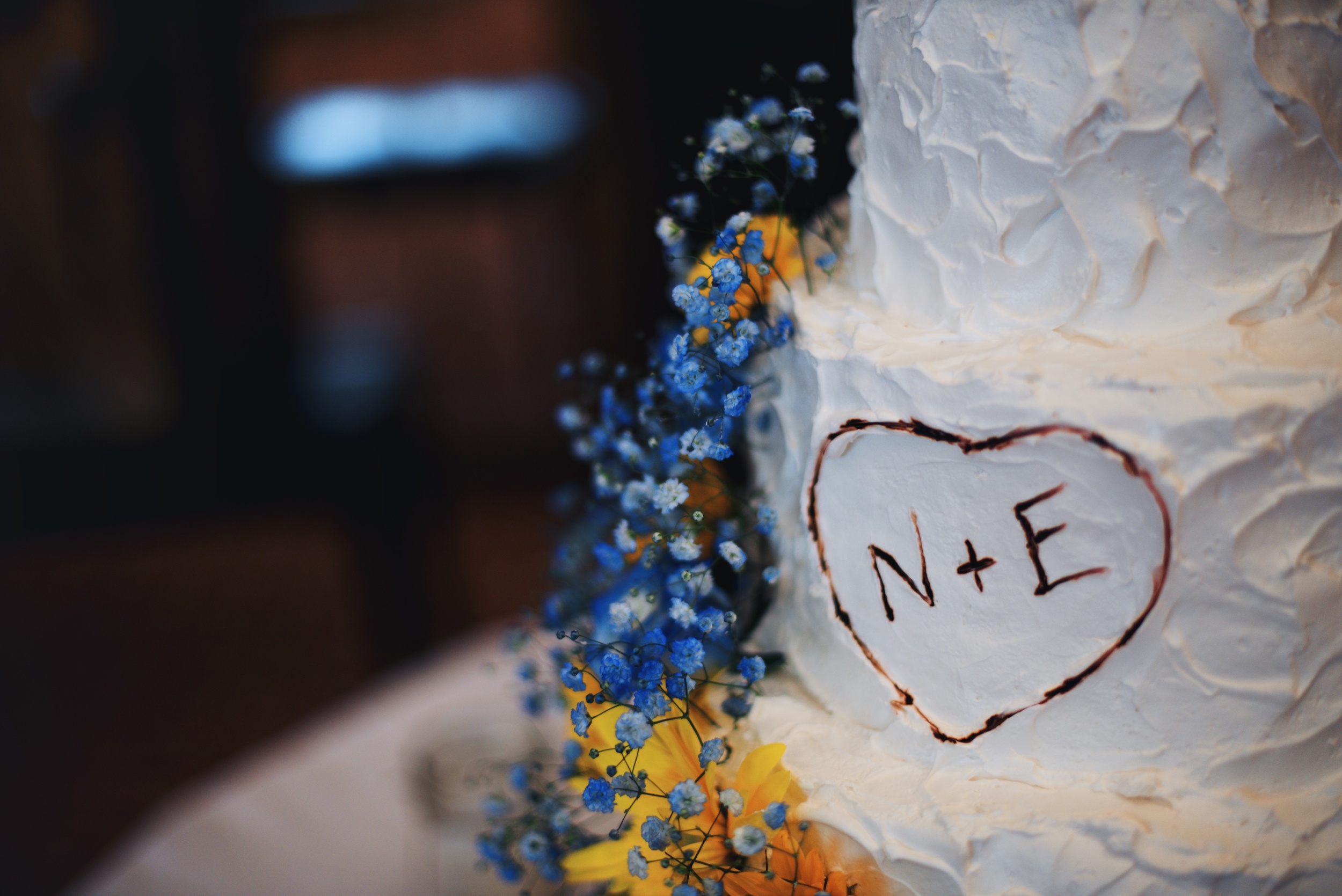 Nick and Libby's Wedding 370.jpg