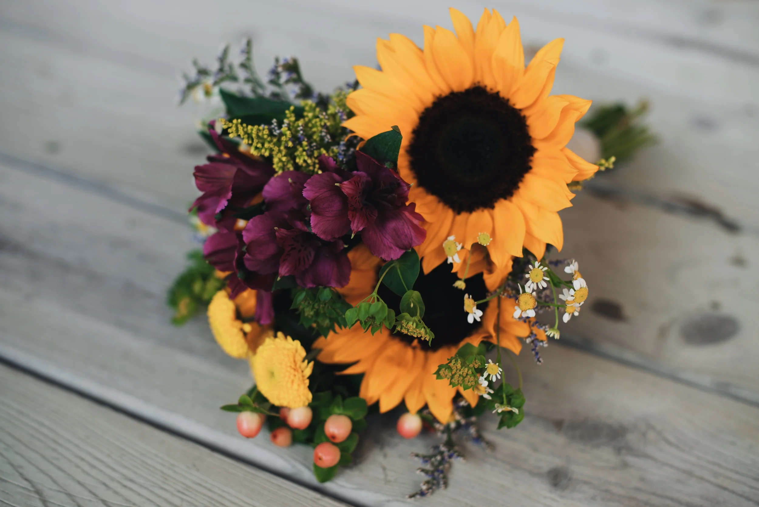 Ethan and Chloe blog 5.jpg