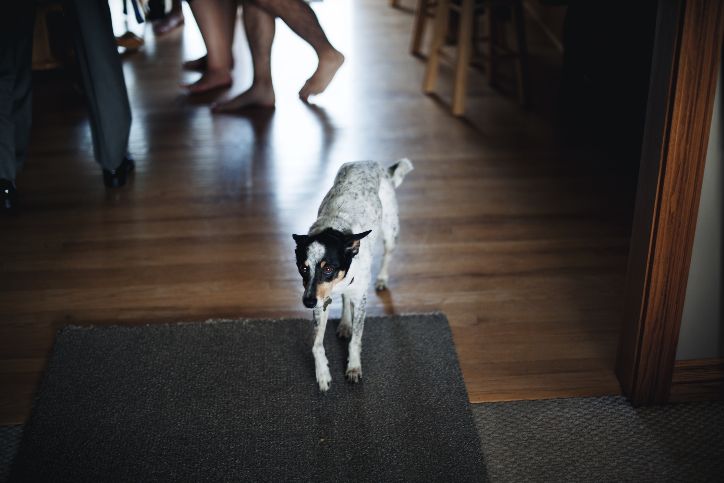 Ethan and Chloe blog 8.jpg