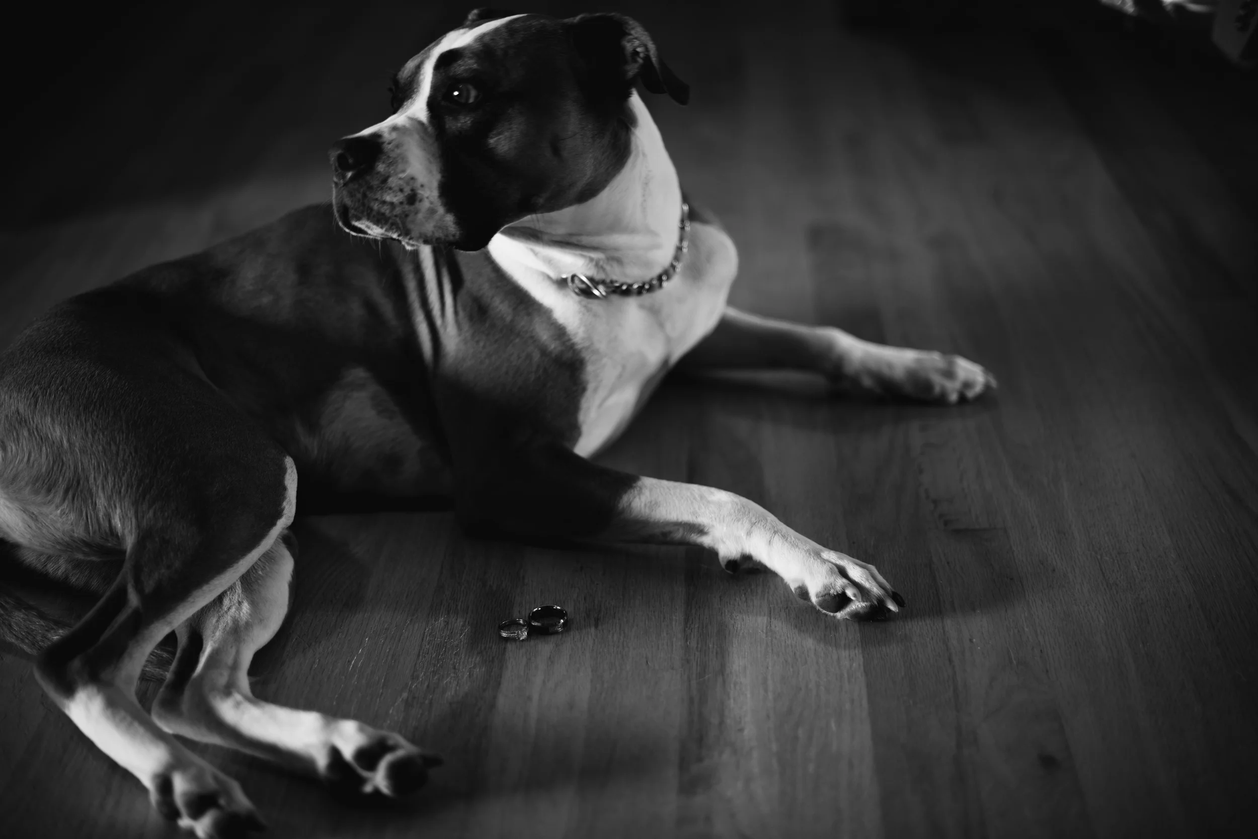 Ethan and Chloe blog 11.jpg