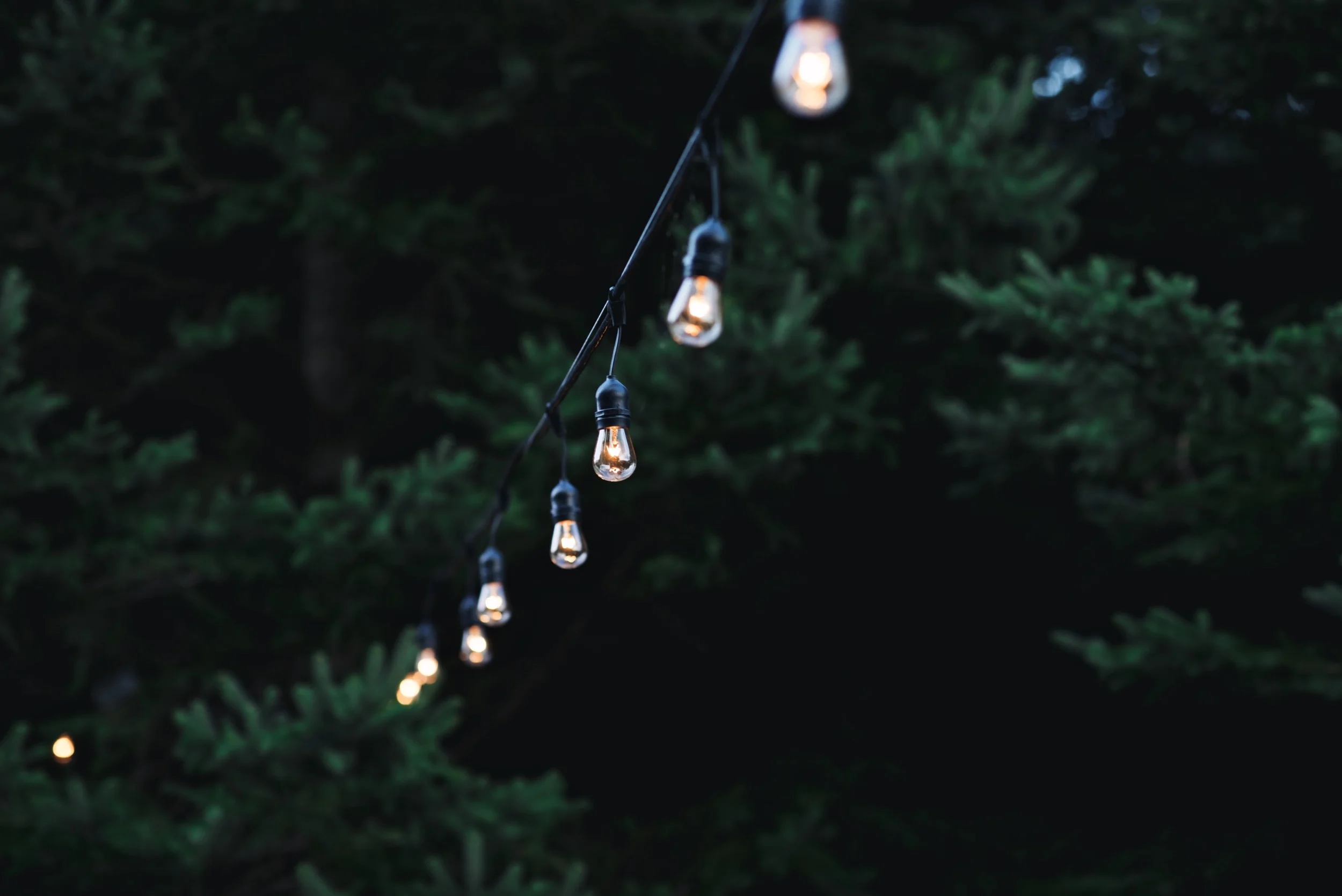 Ethan and Chloe blog 189.jpg