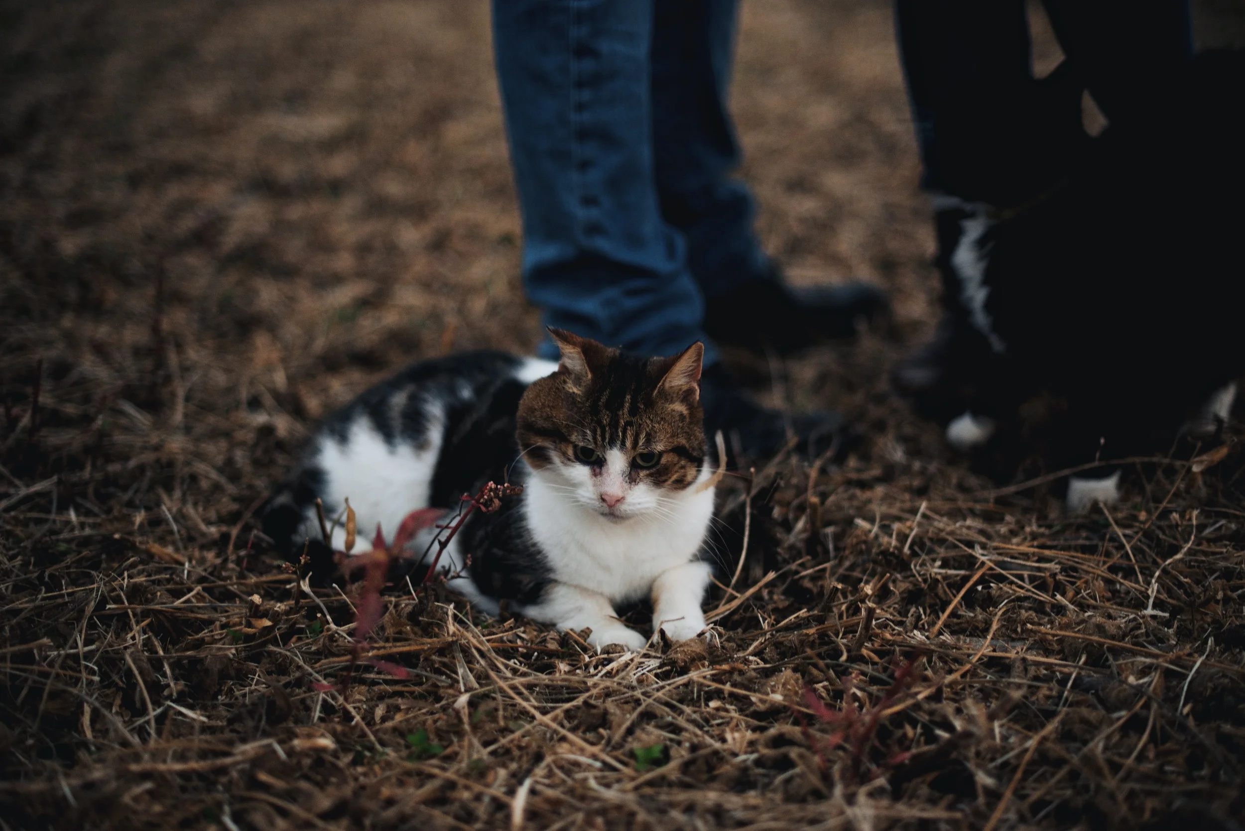 Brenna and Brad blog 59.jpg