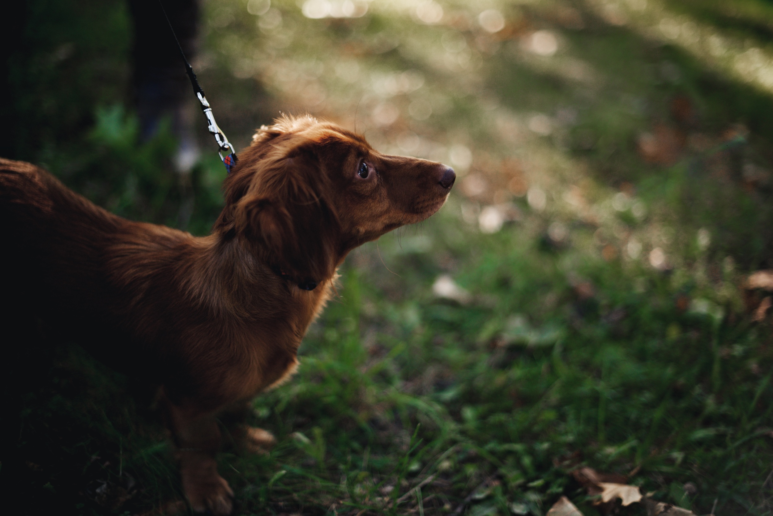 Brian and Taylor's engagement photos 123.jpg