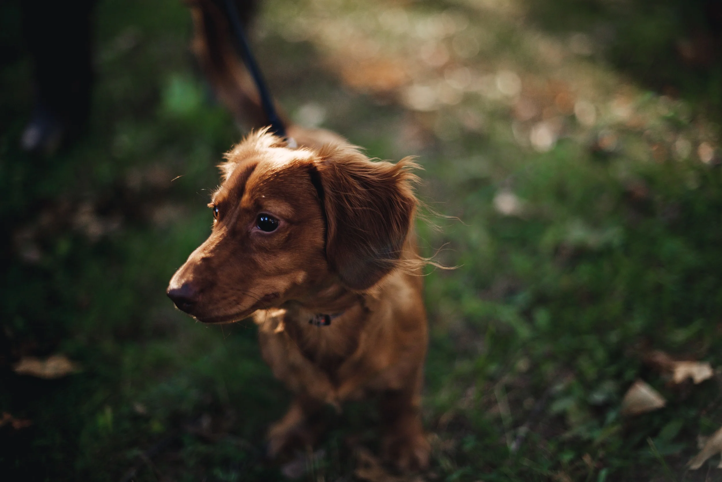 Brian and Taylor's engagement photos 124.jpg