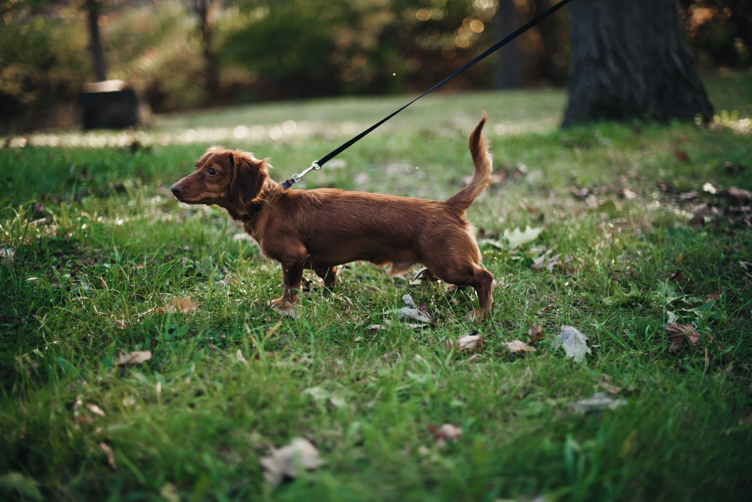 Brian and Taylor's engagement photos 125.jpg