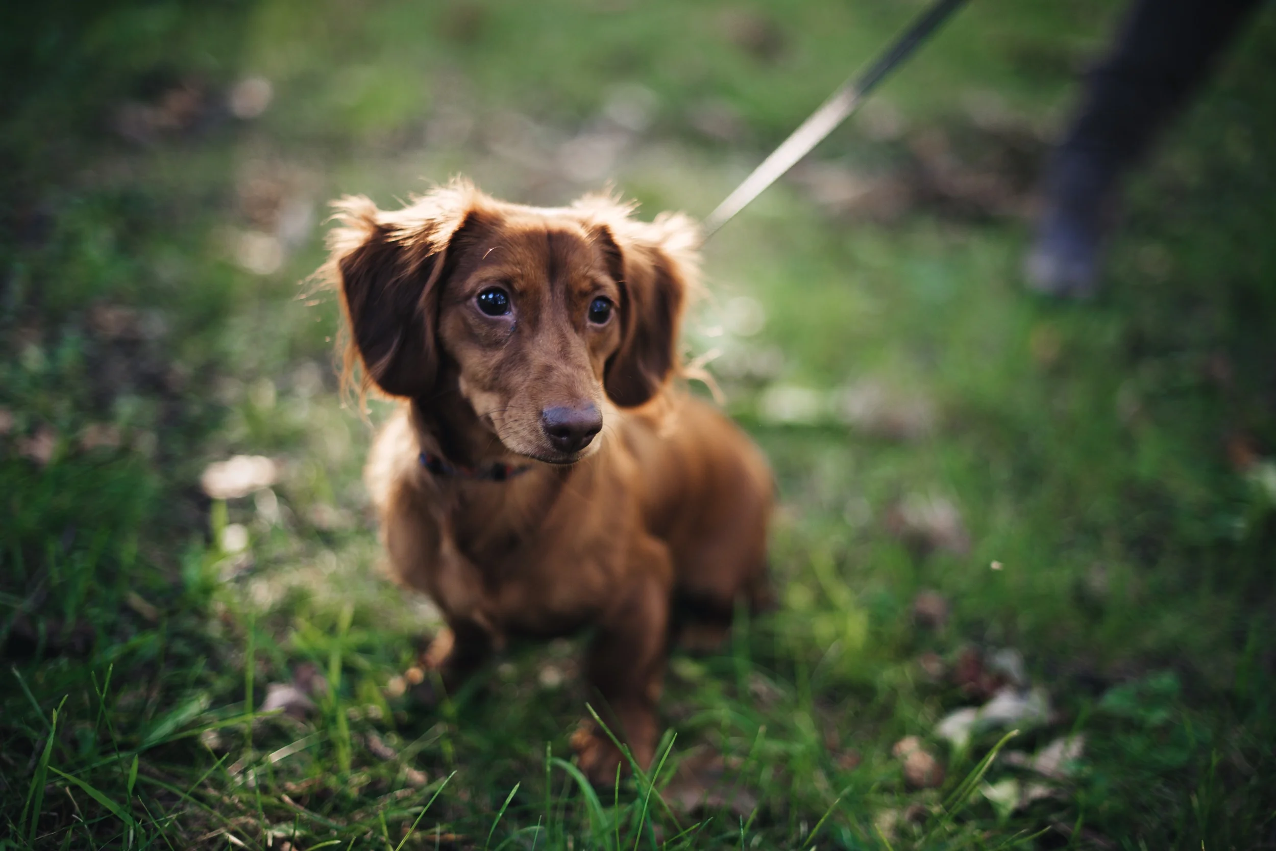 Brian and Taylor's engagement photos 126.jpg