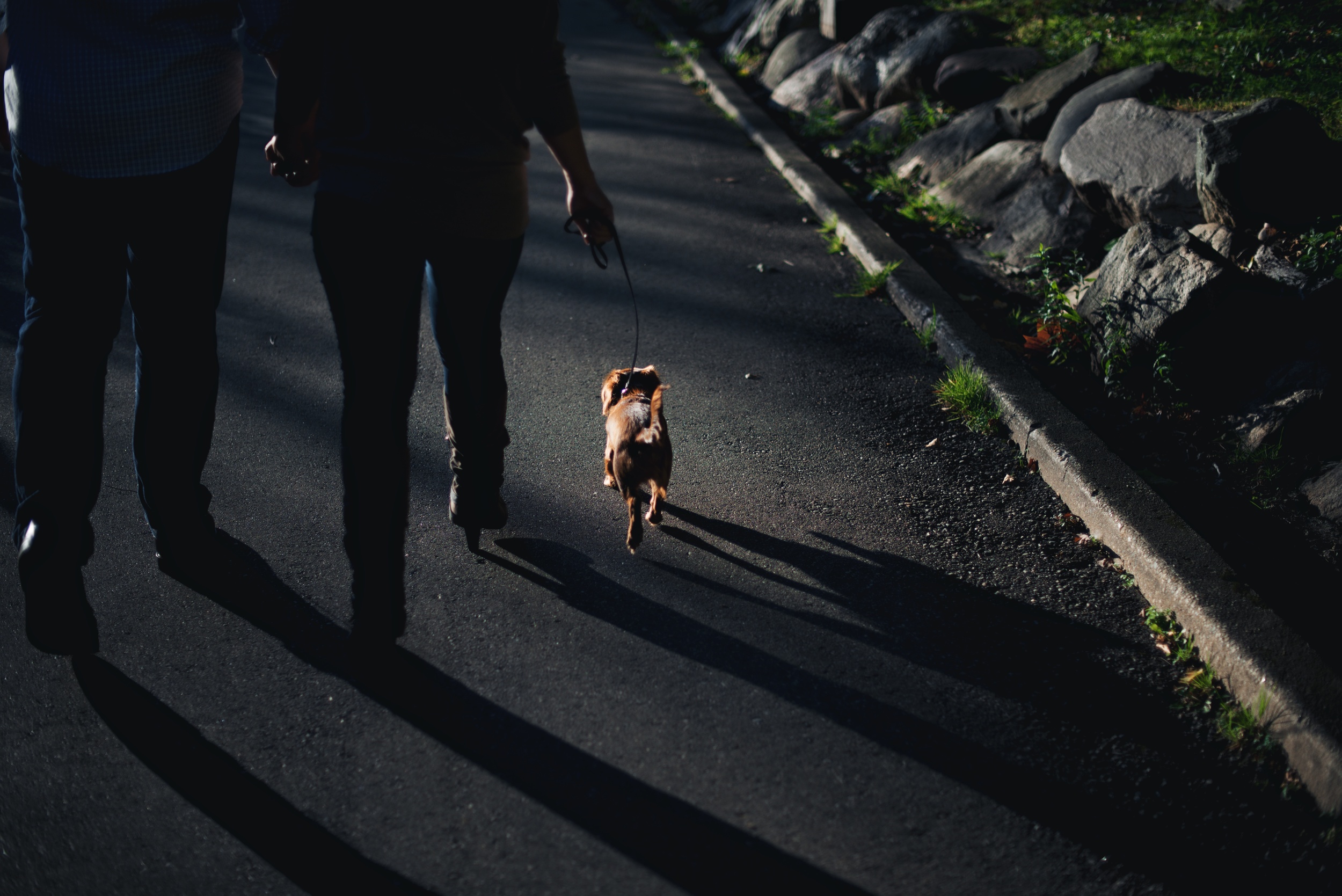 Brian and Taylor's engagement photos 148.jpg