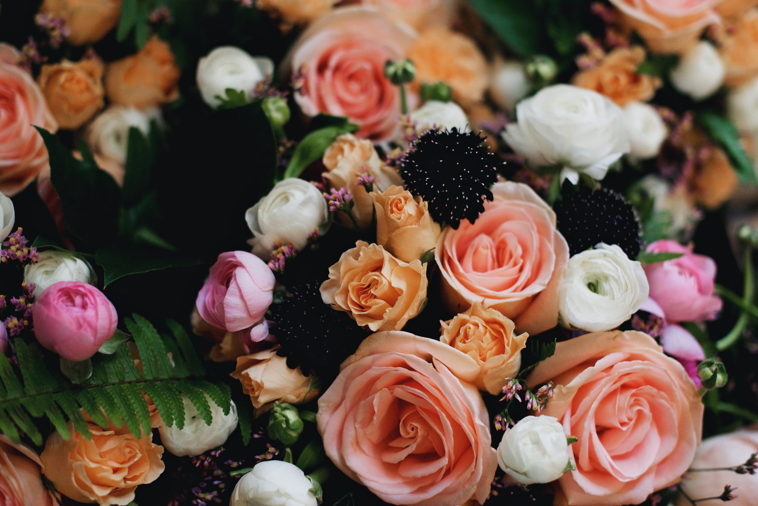 Emily and Adam's Wedding blog 4.jpg