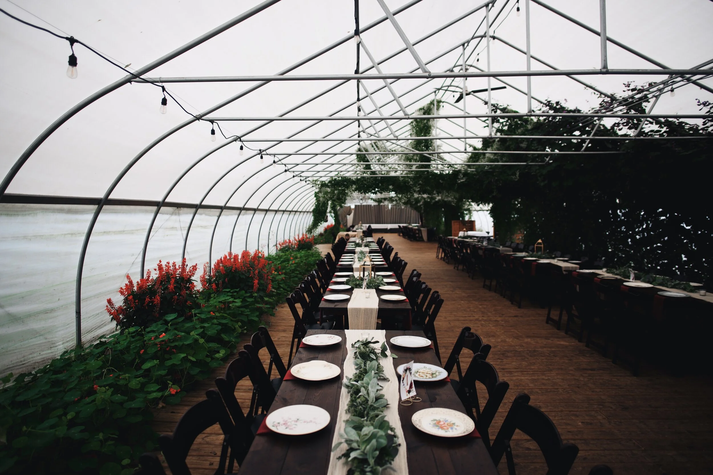 Mark and Nicole blog 157.jpg