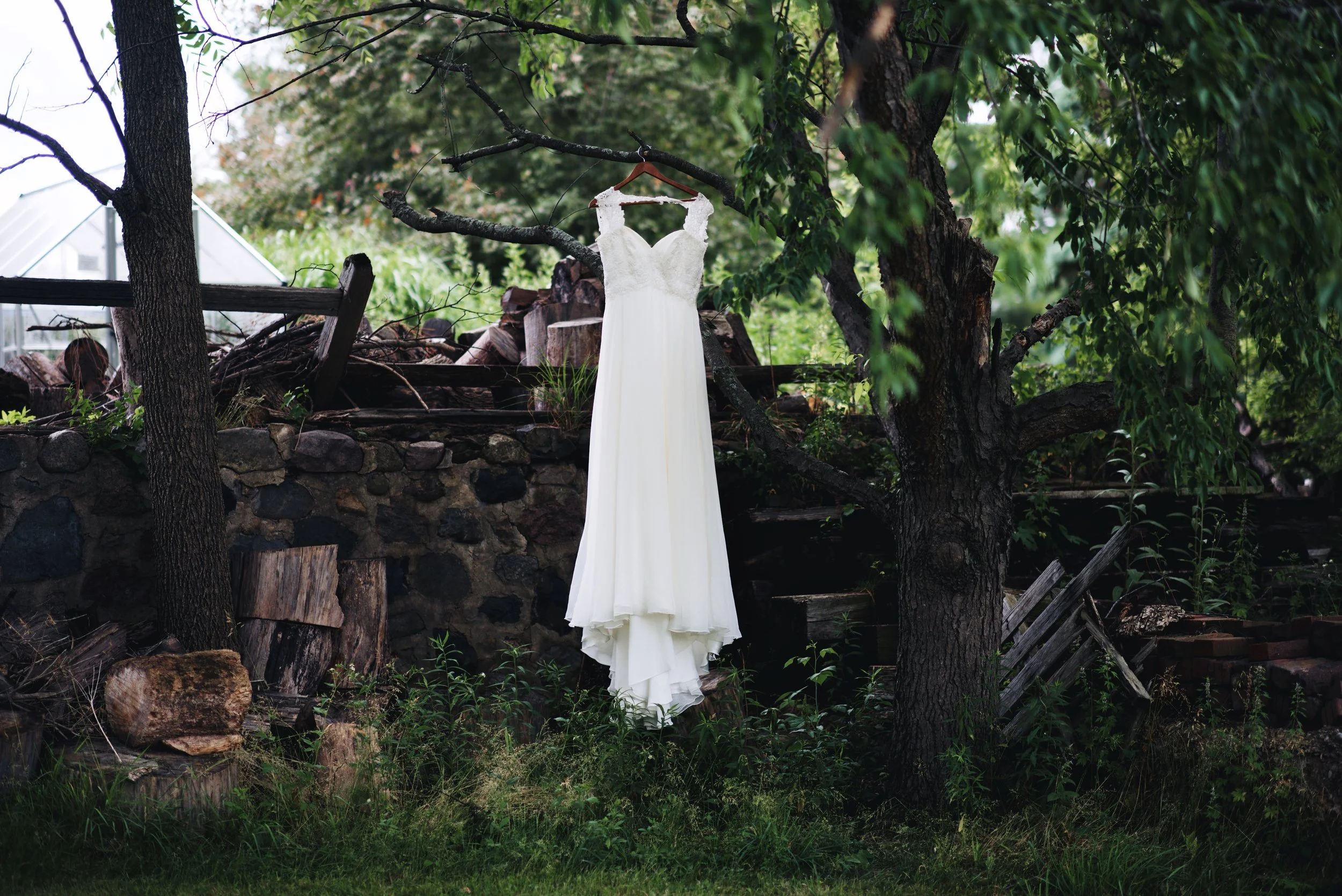 Cassie and Chelsea's Wedding 2.jpg