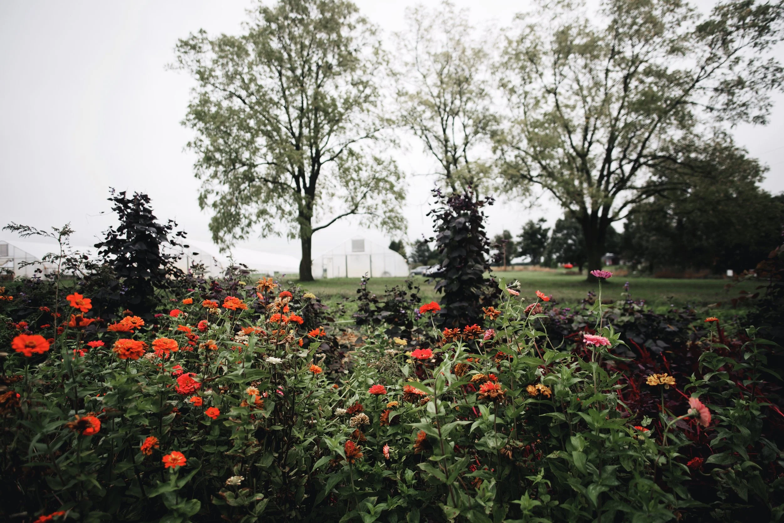 Mark and Nicole blog 4.jpg