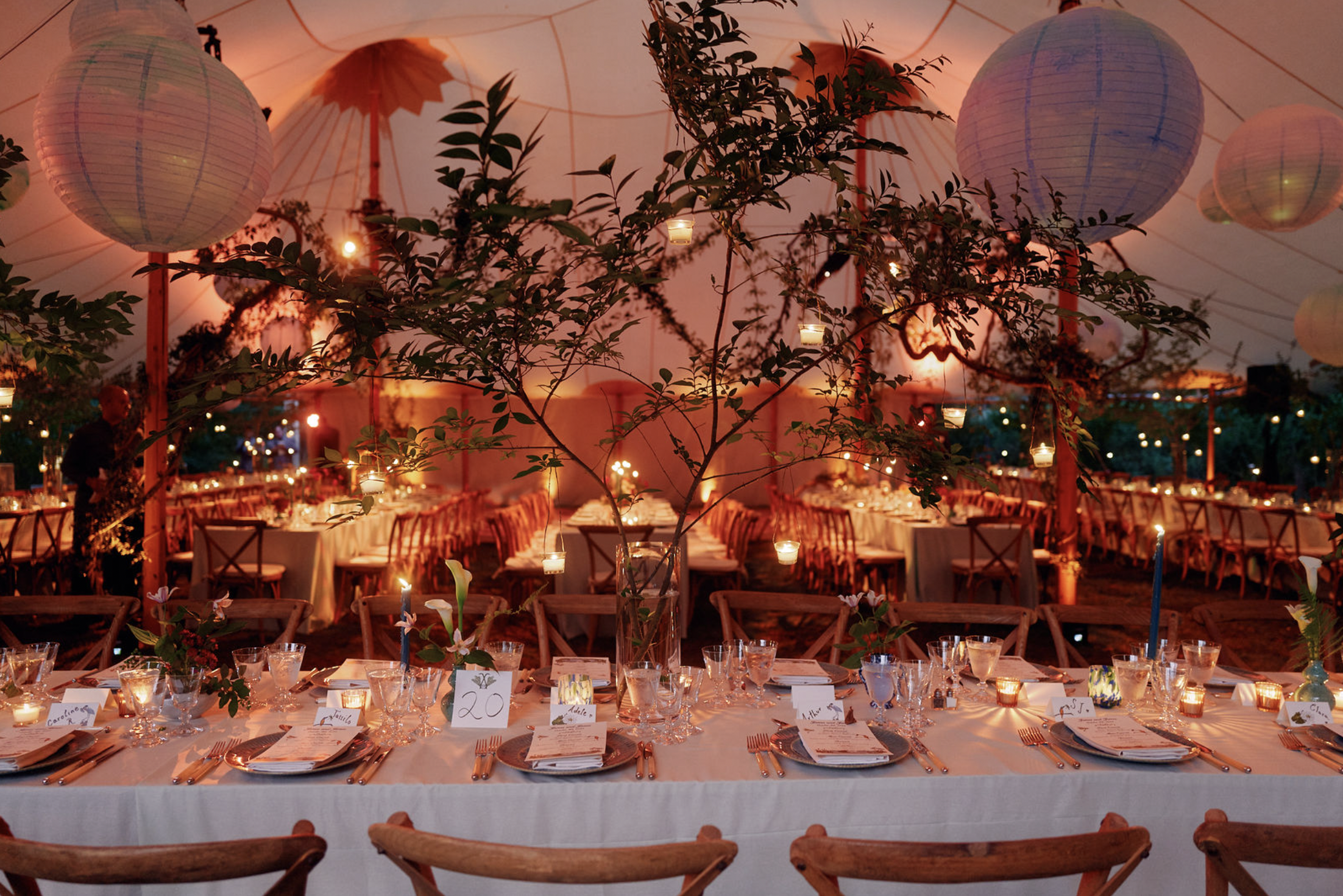 Screenshot 2026-01-19 at 4.45.55 PM.png