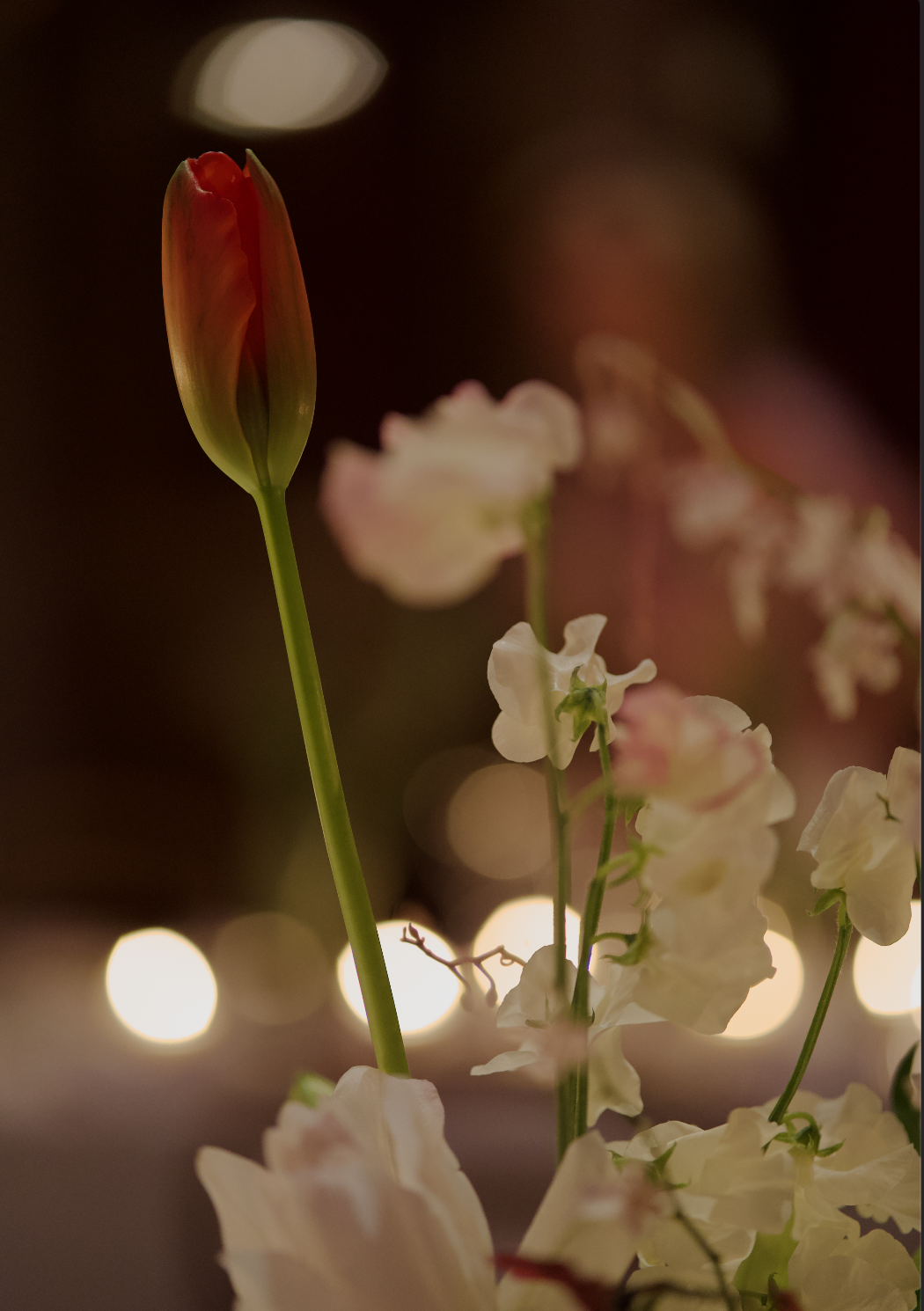 Screenshot 2026-04-16 at 2.25.45 PM.png