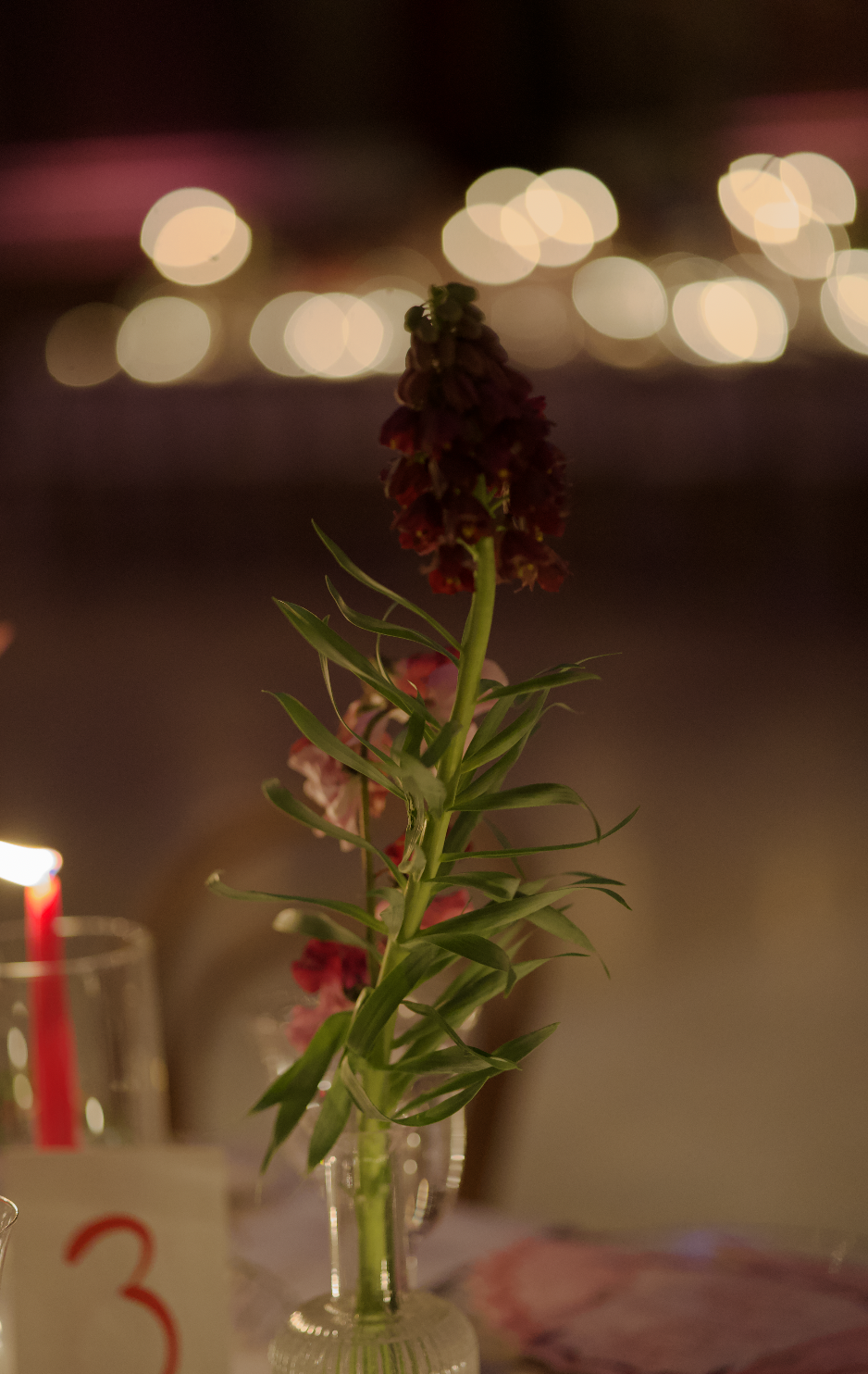 Screenshot 2026-04-16 at 2.31.25 PM.png