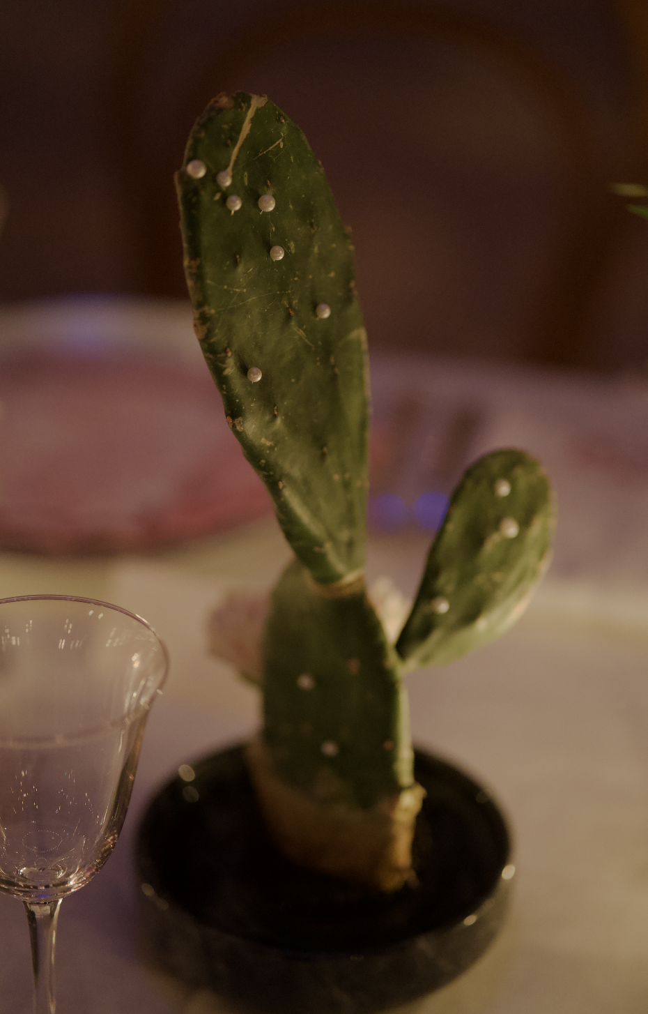 Screenshot 2026-04-16 at 2.33.30 PM.png