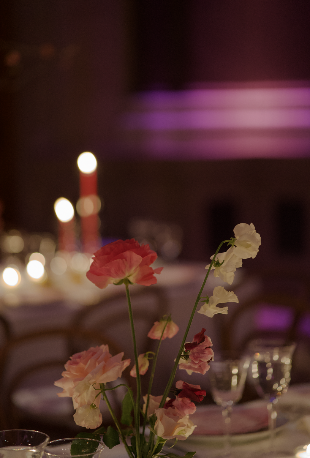 Screenshot 2026-04-16 at 2.26.01 PM.png