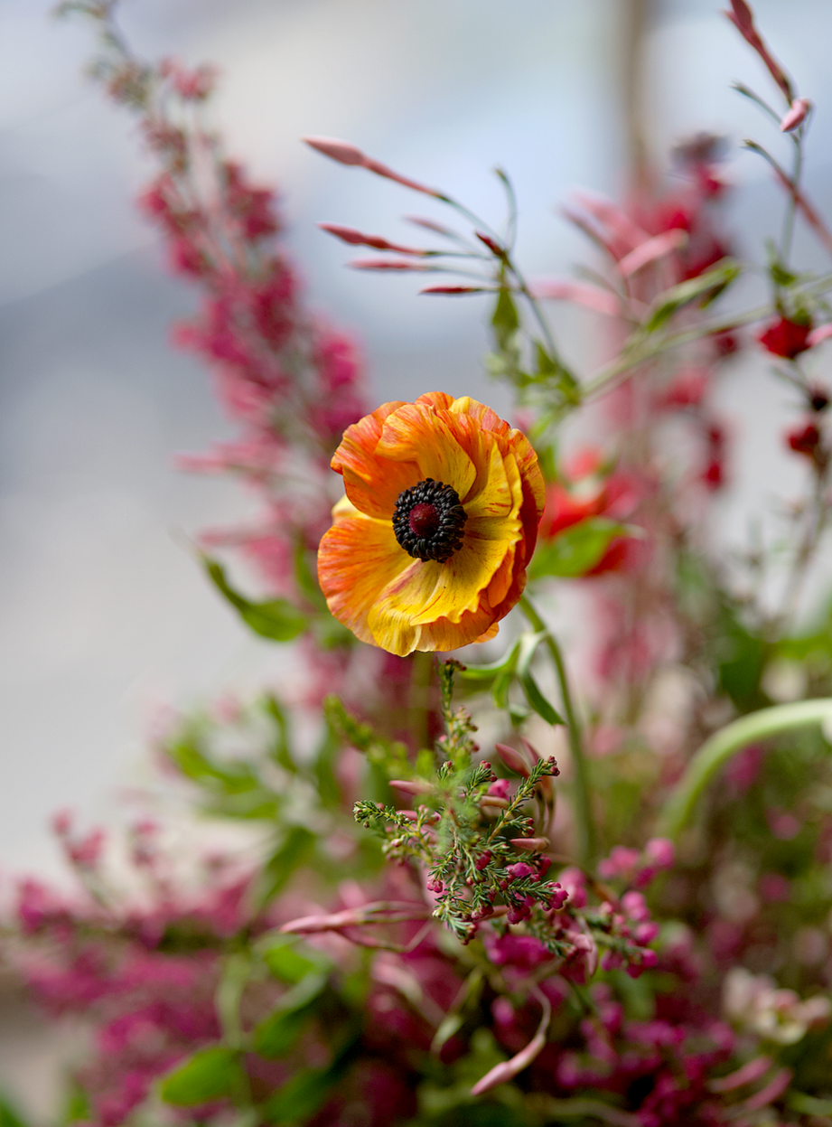 Assorted Floral Design