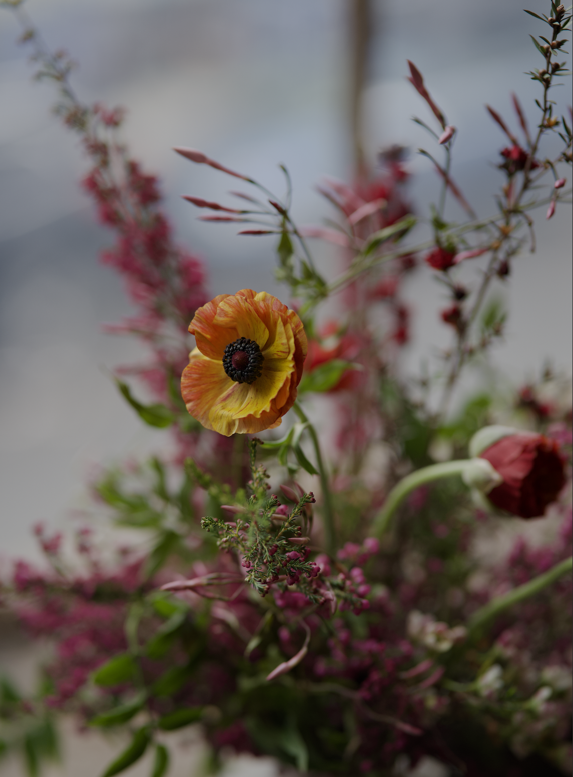 Screenshot 2026-03-23 at 3.54.41 PM.png