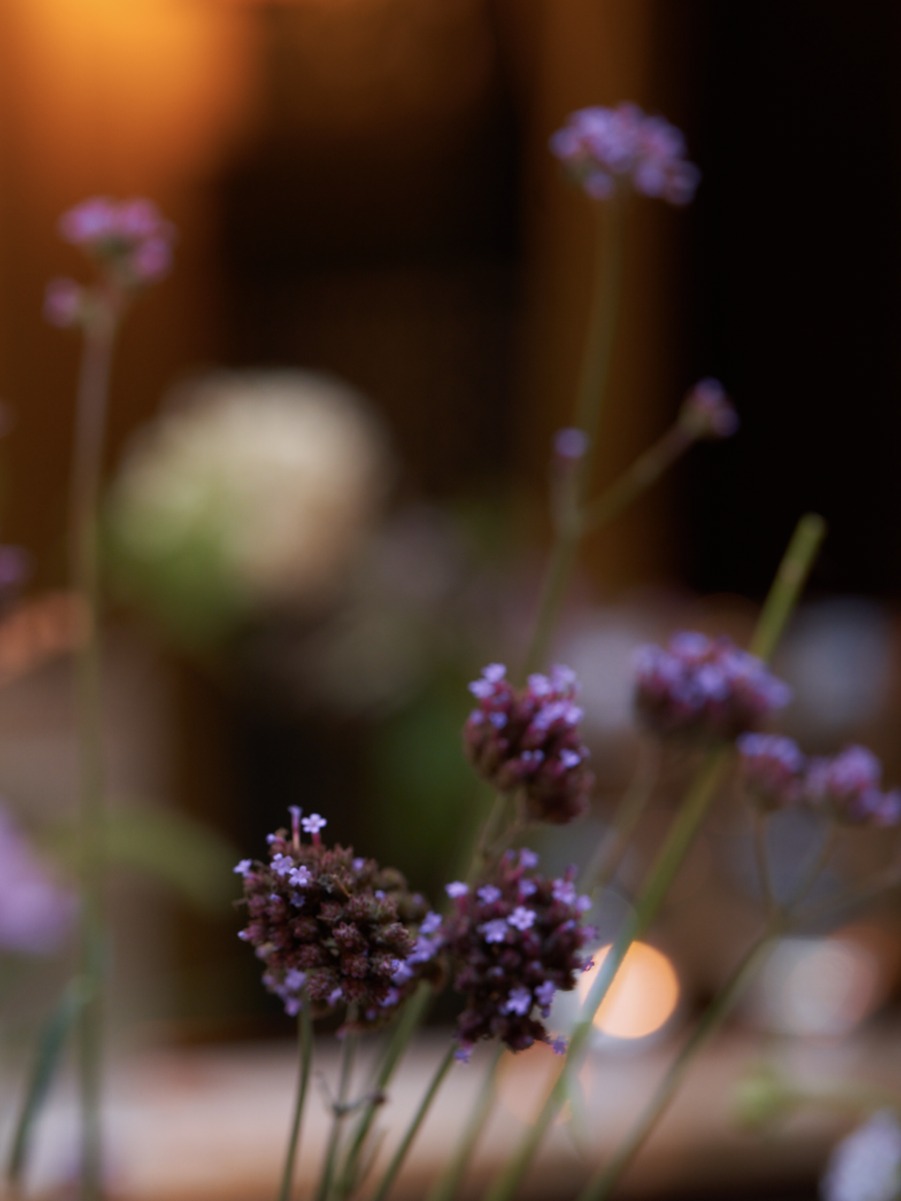 Screenshot 2024-10-15 at 8.21.44 PM.png