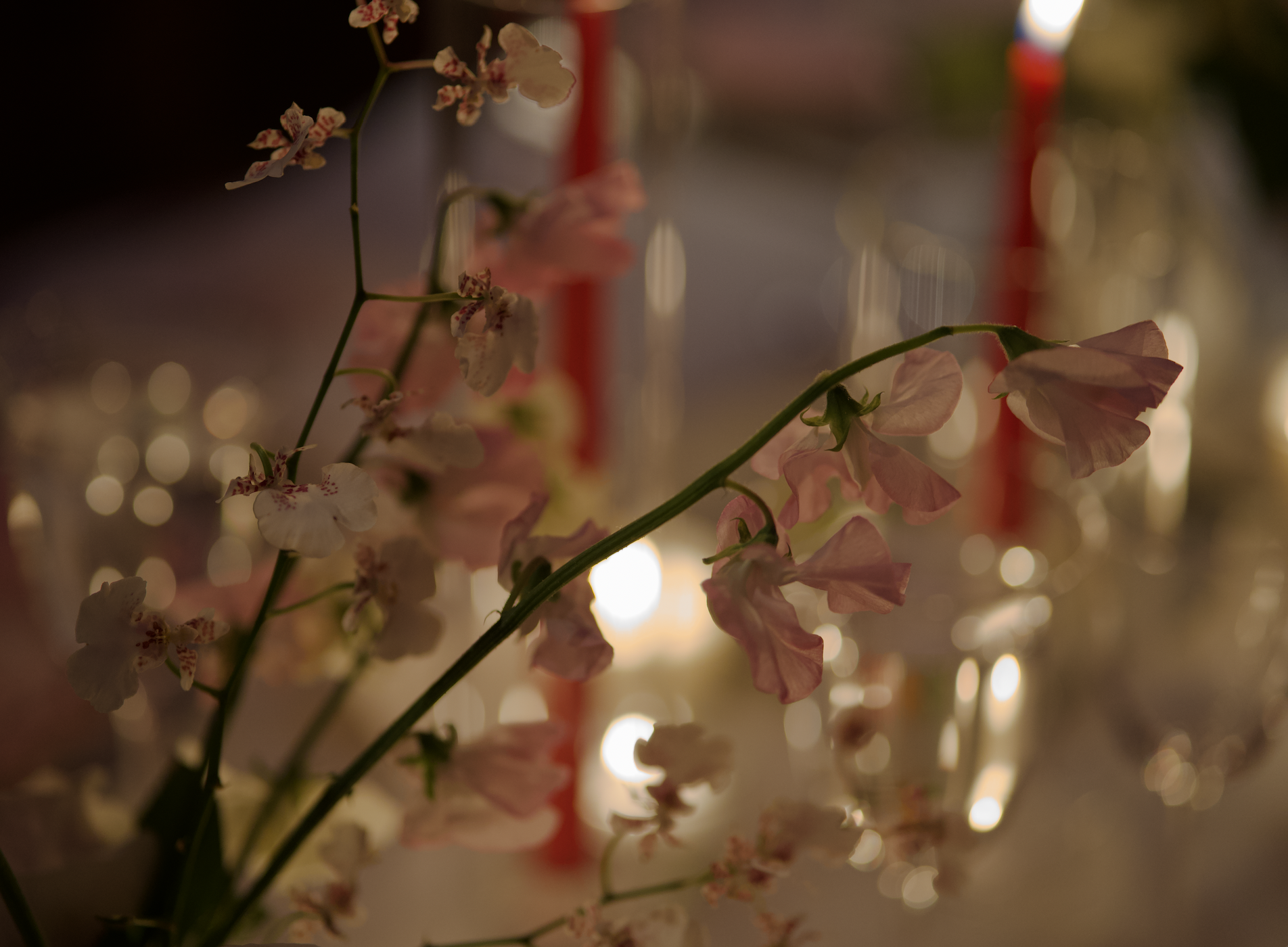 Screenshot 2026-04-16 at 2.23.06 PM.png