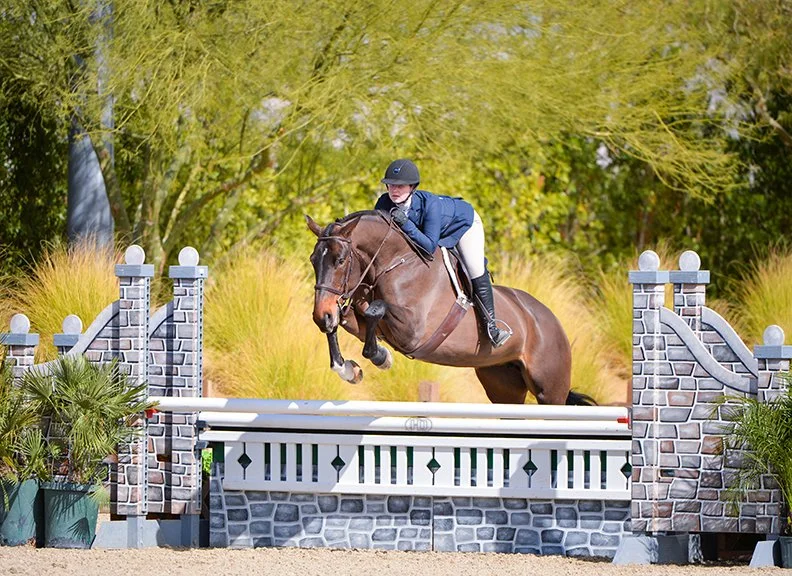 Horses For Sale — Thumbs Up Farm