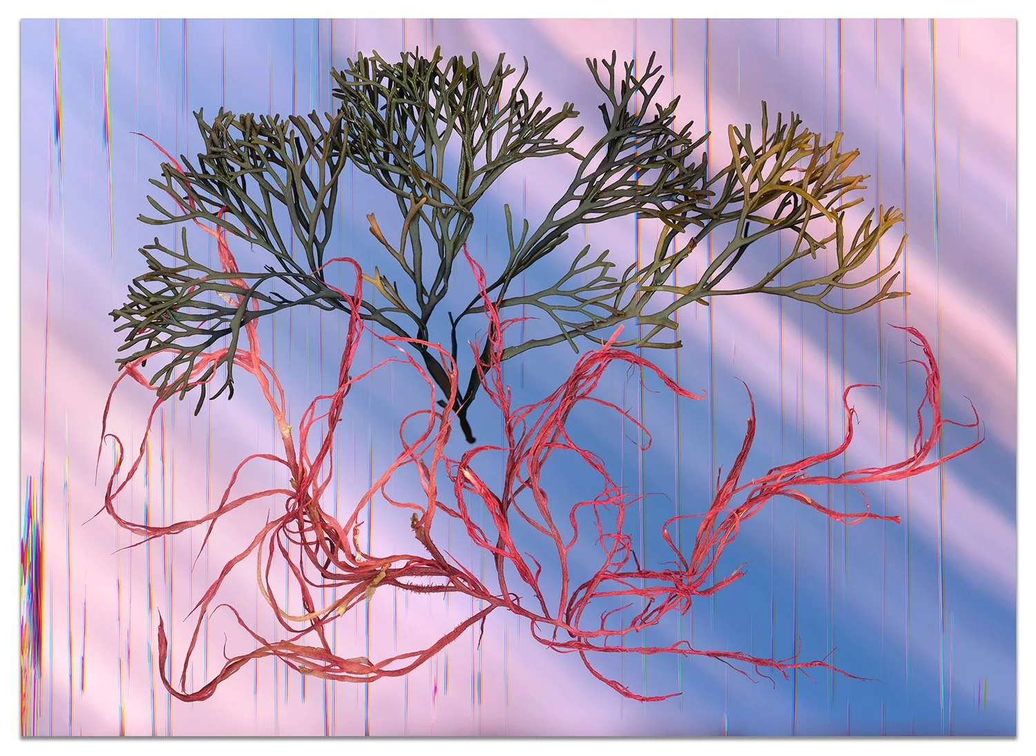 Living Systems