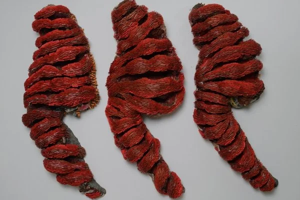 Whitney Oldenburg: left behind at MOCA Jacksonville