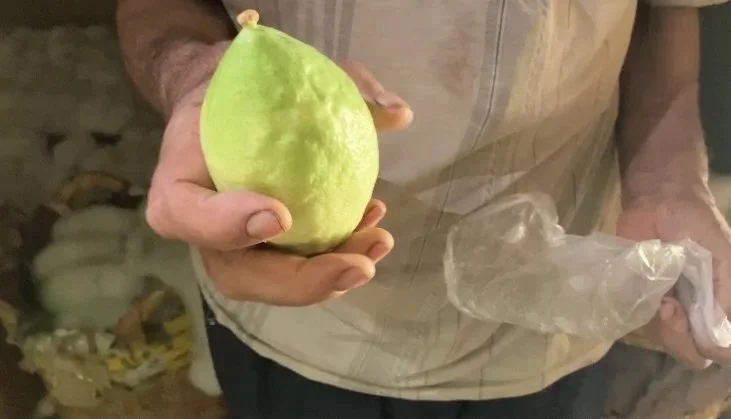 Keren Benbenisty: 2026 NYSCA Award